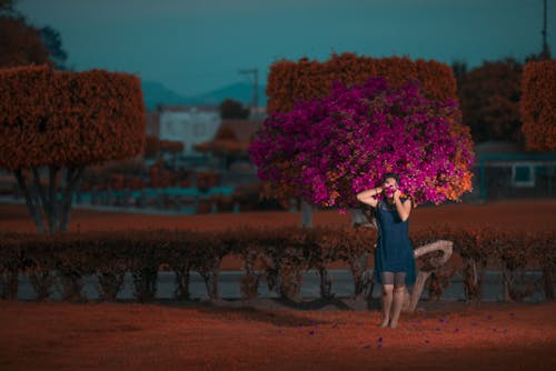 Foto d'estoc gratuïta de bonic, dona, flors artificials