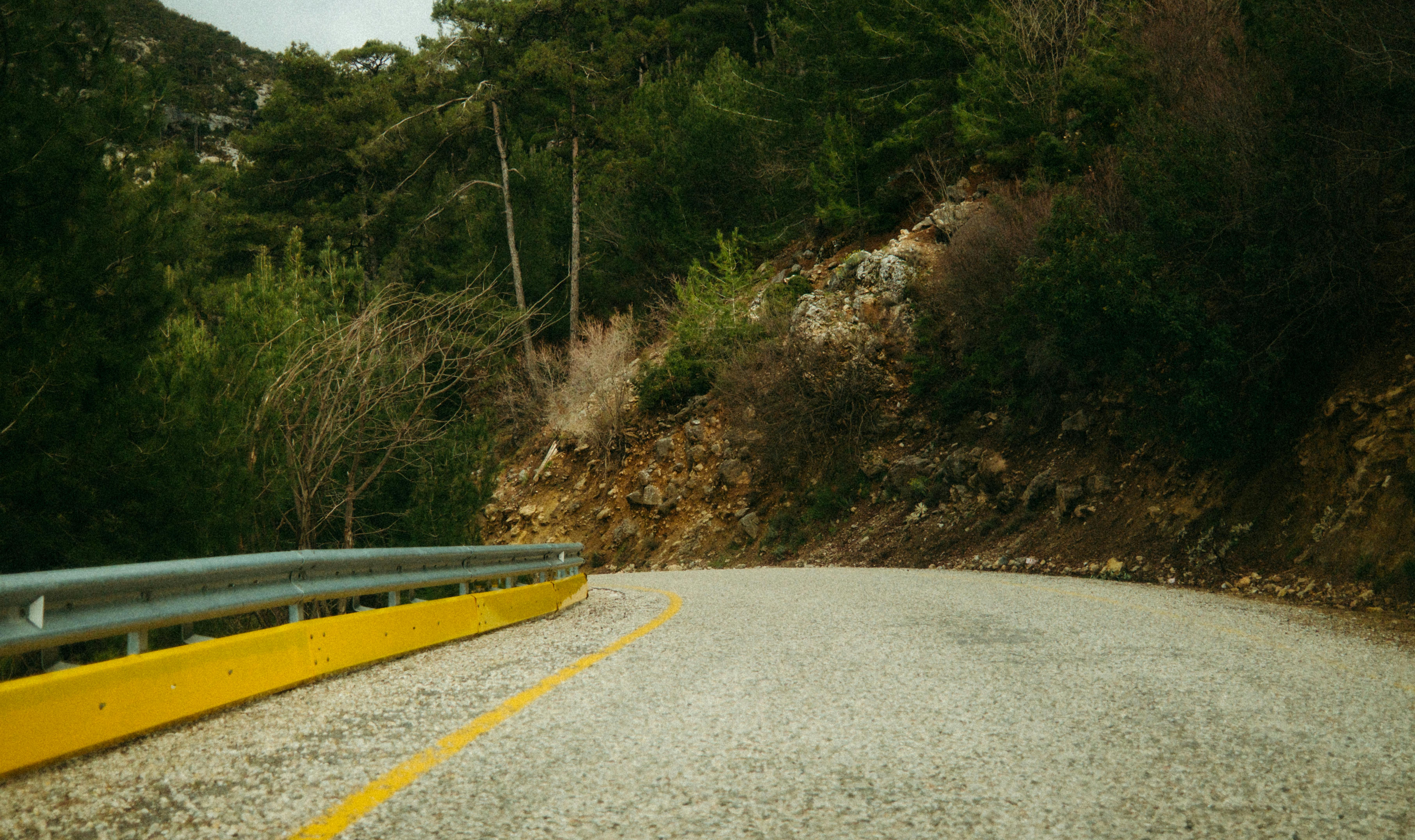 A winding mountain road in Greece climbing through pine forest