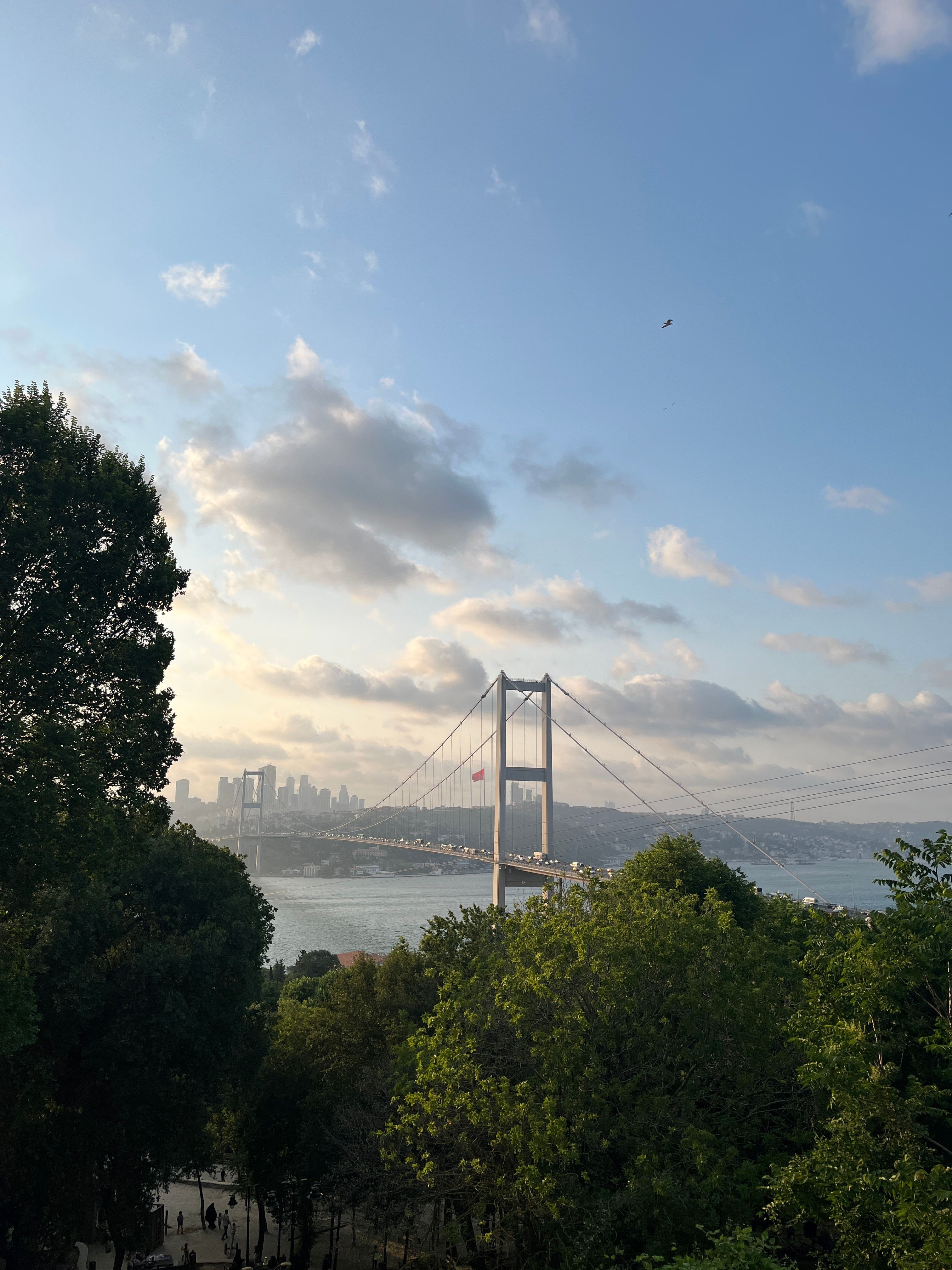 A picturesque view of the Bosphorus Bridge in Istanbul surrounded by lush greenery under a partly cloudy sky.