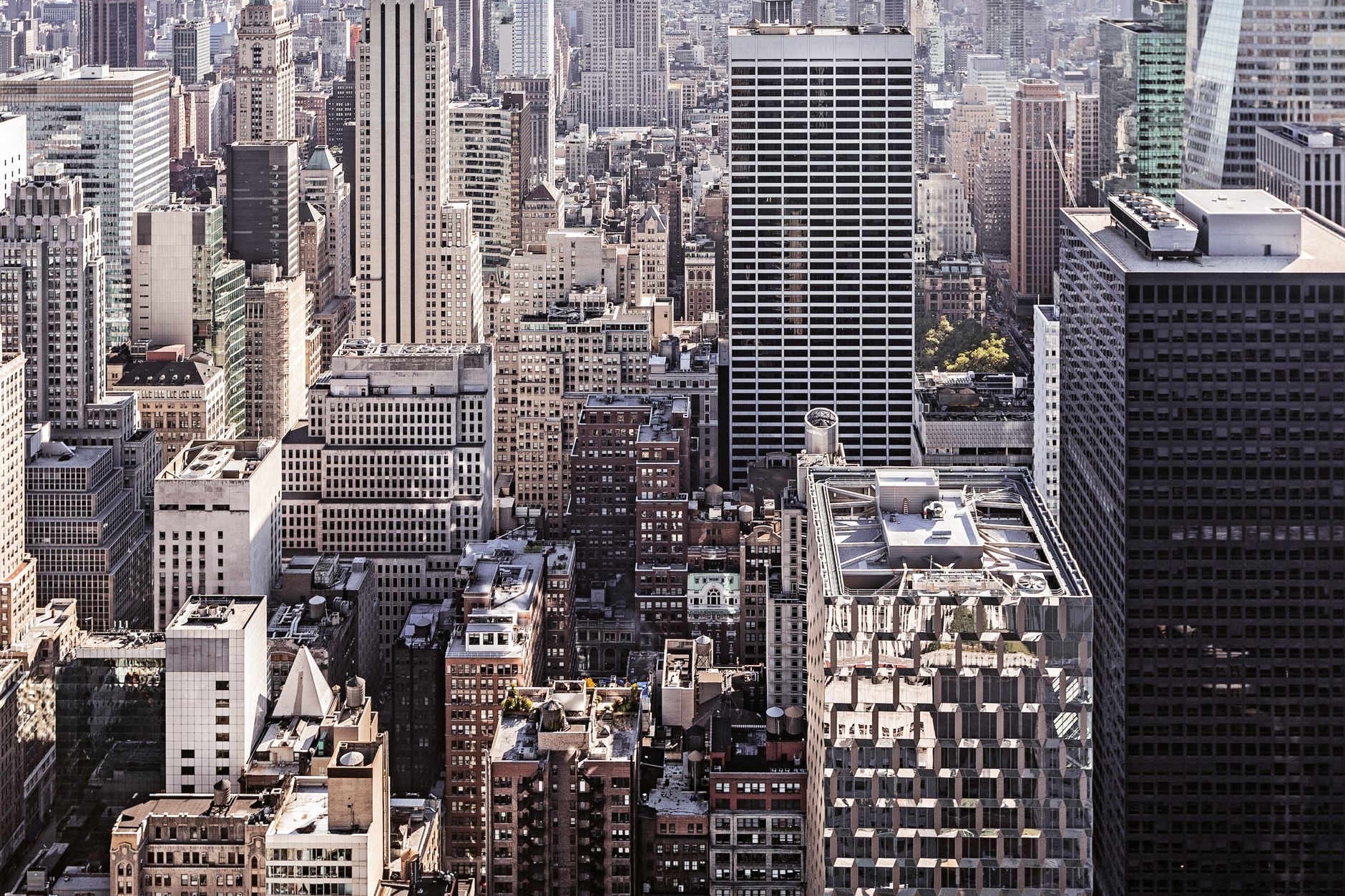 https://images.pexels.com/photos/36361/pexels-photo.jpg?auto=compress&cs=tinysrgb&dpr=2&h=650&w=940