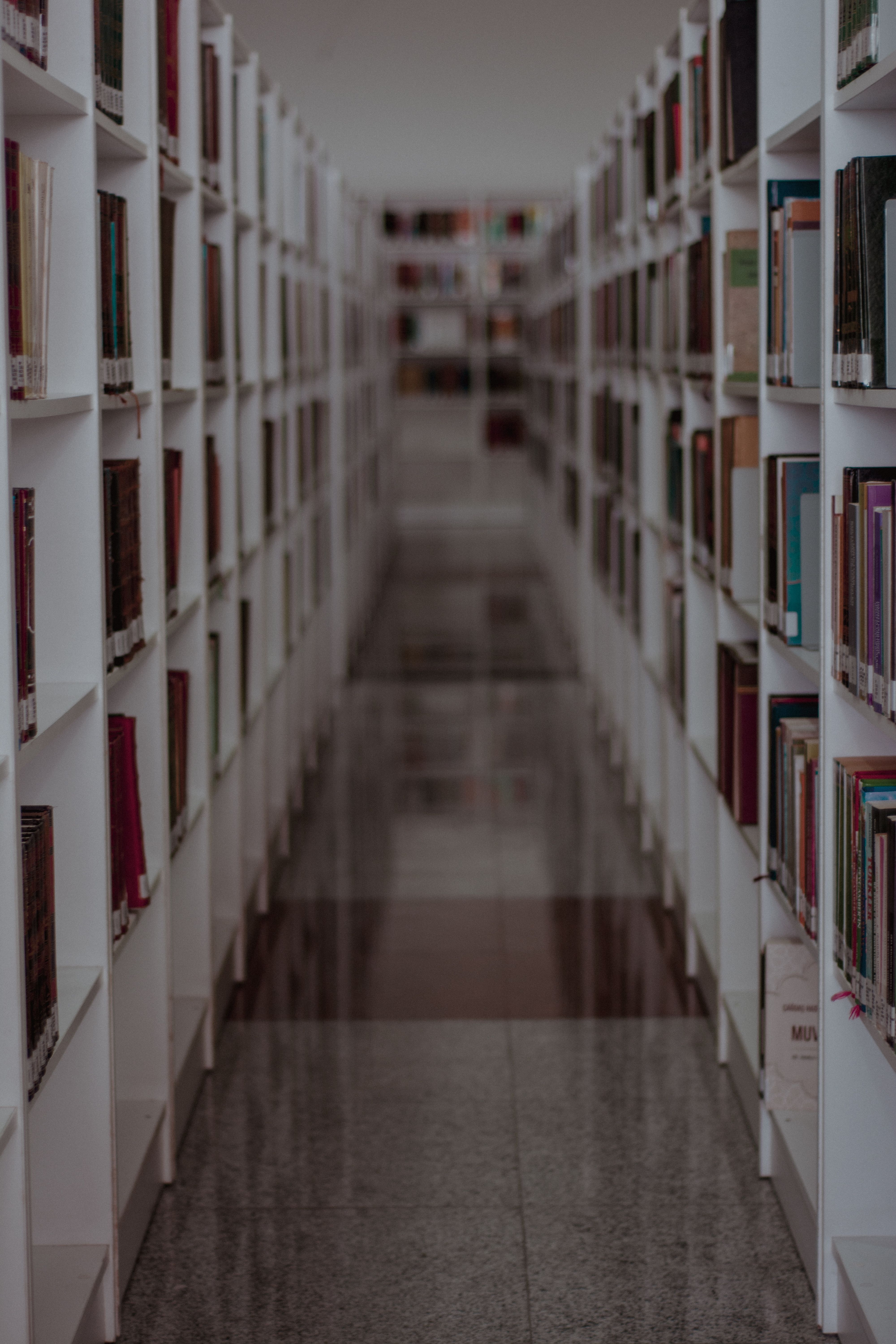 Symmetrical View of Library Bookshelves · Free Stock Photo