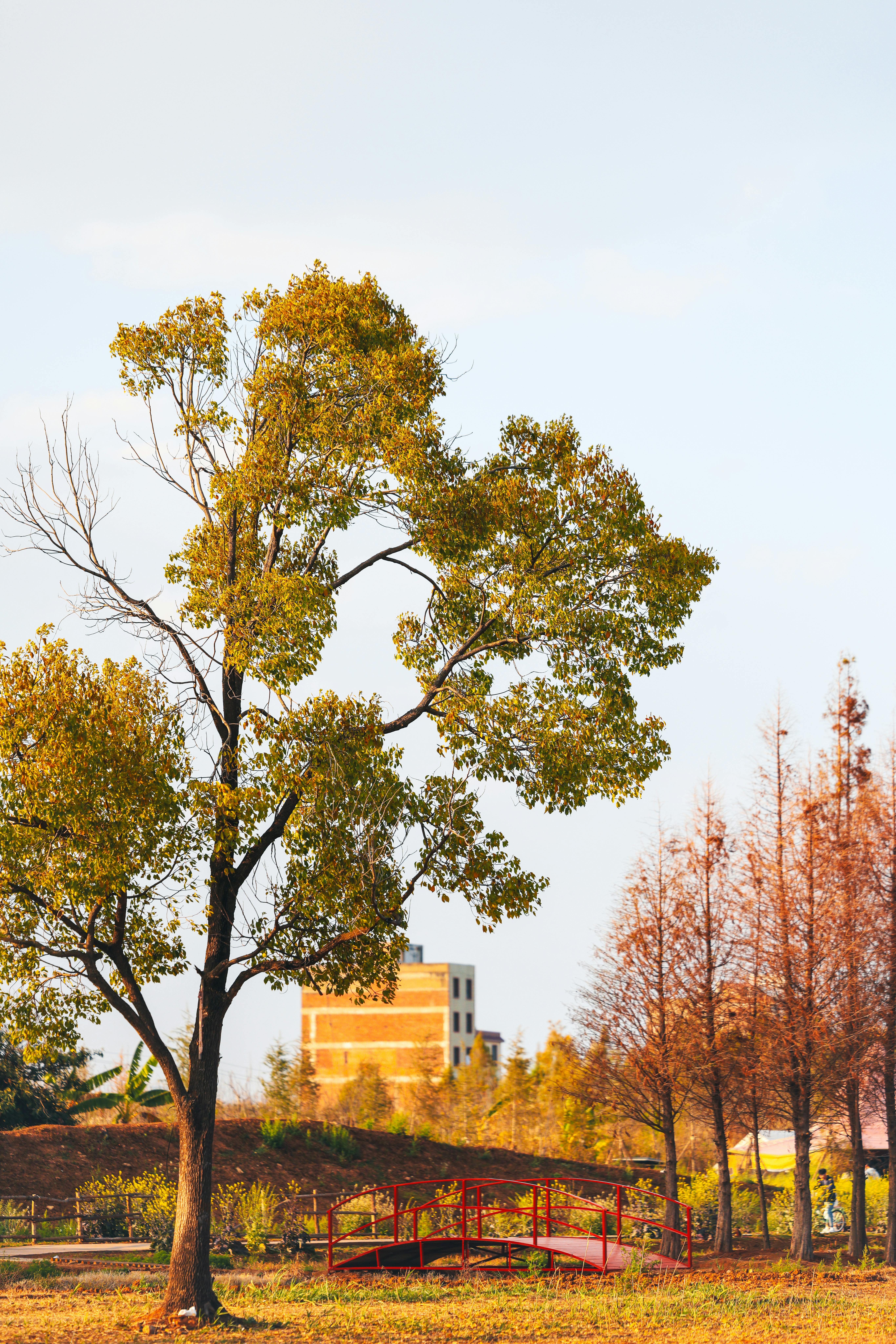 бесплатная Бесплатное стоковое фото с активный отдых, безмятежный, ботанический Стоковое фото