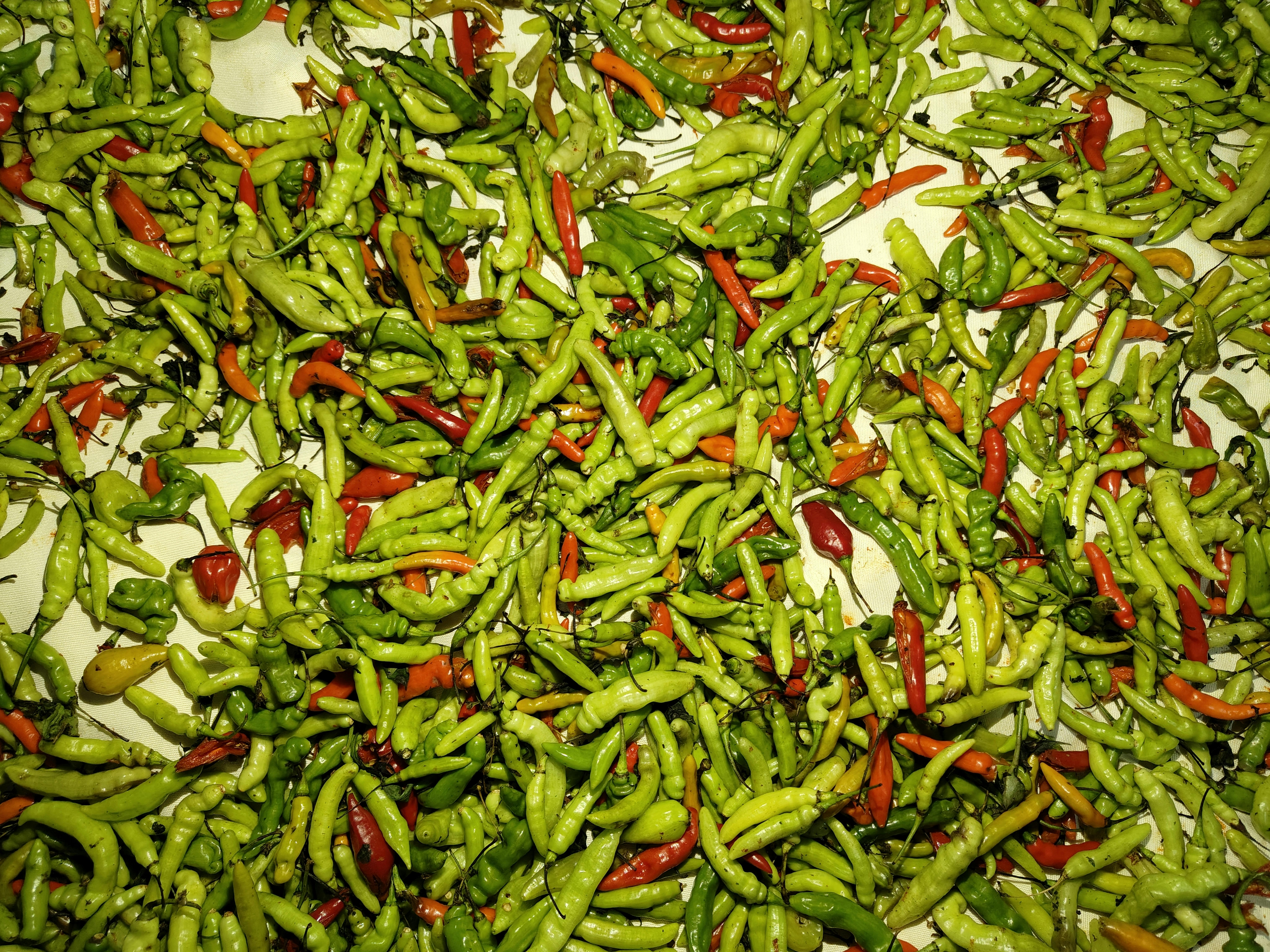 Amendoim Japonês Picante