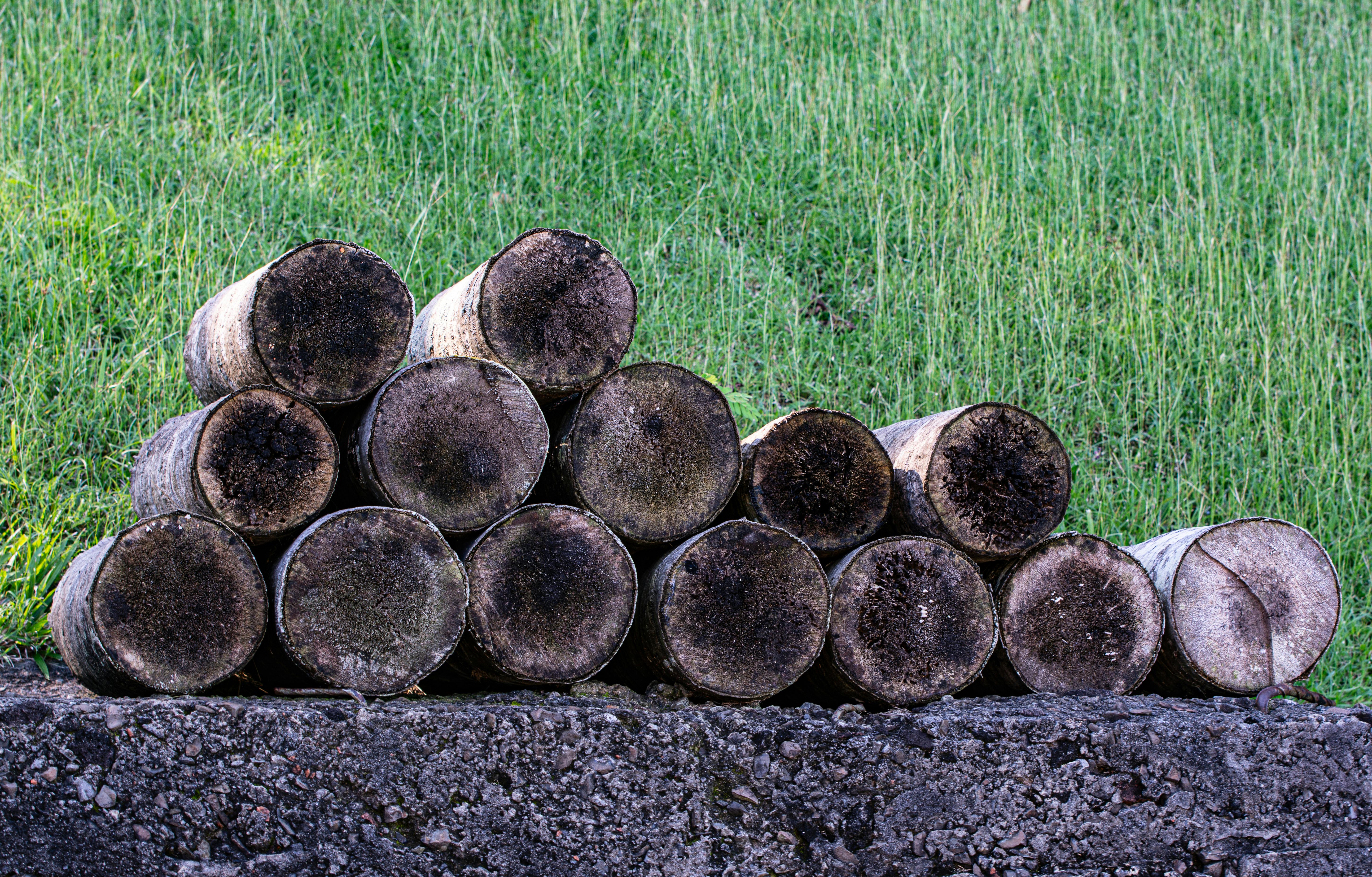免費 伐木, 切割木材, 原木橫斷面 的 免費圖庫相片 圖庫相片