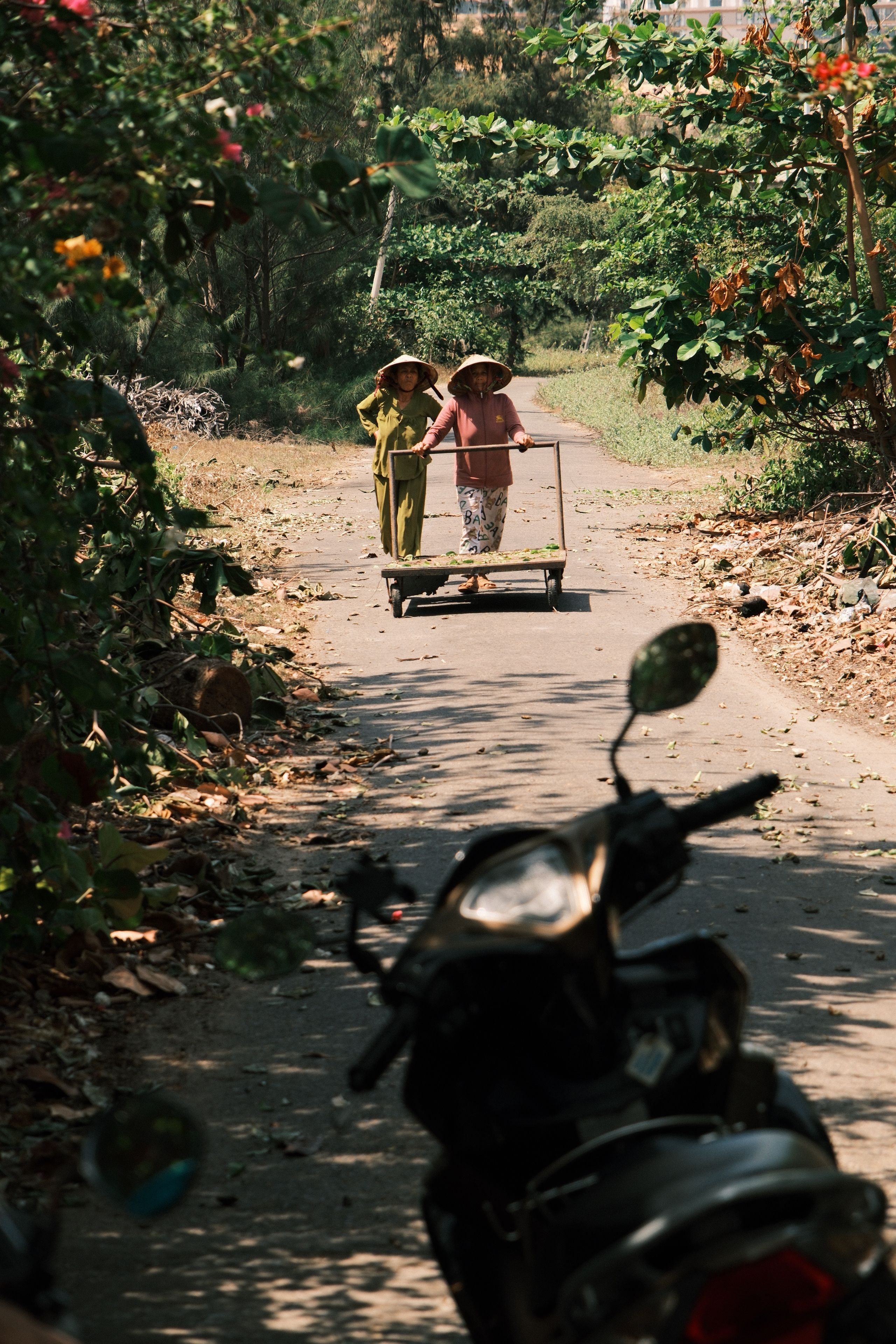 Two individuals pushing a cart down a sunlit rural path surrounded by lush greenery, framed by a motorcycle in the foreground.