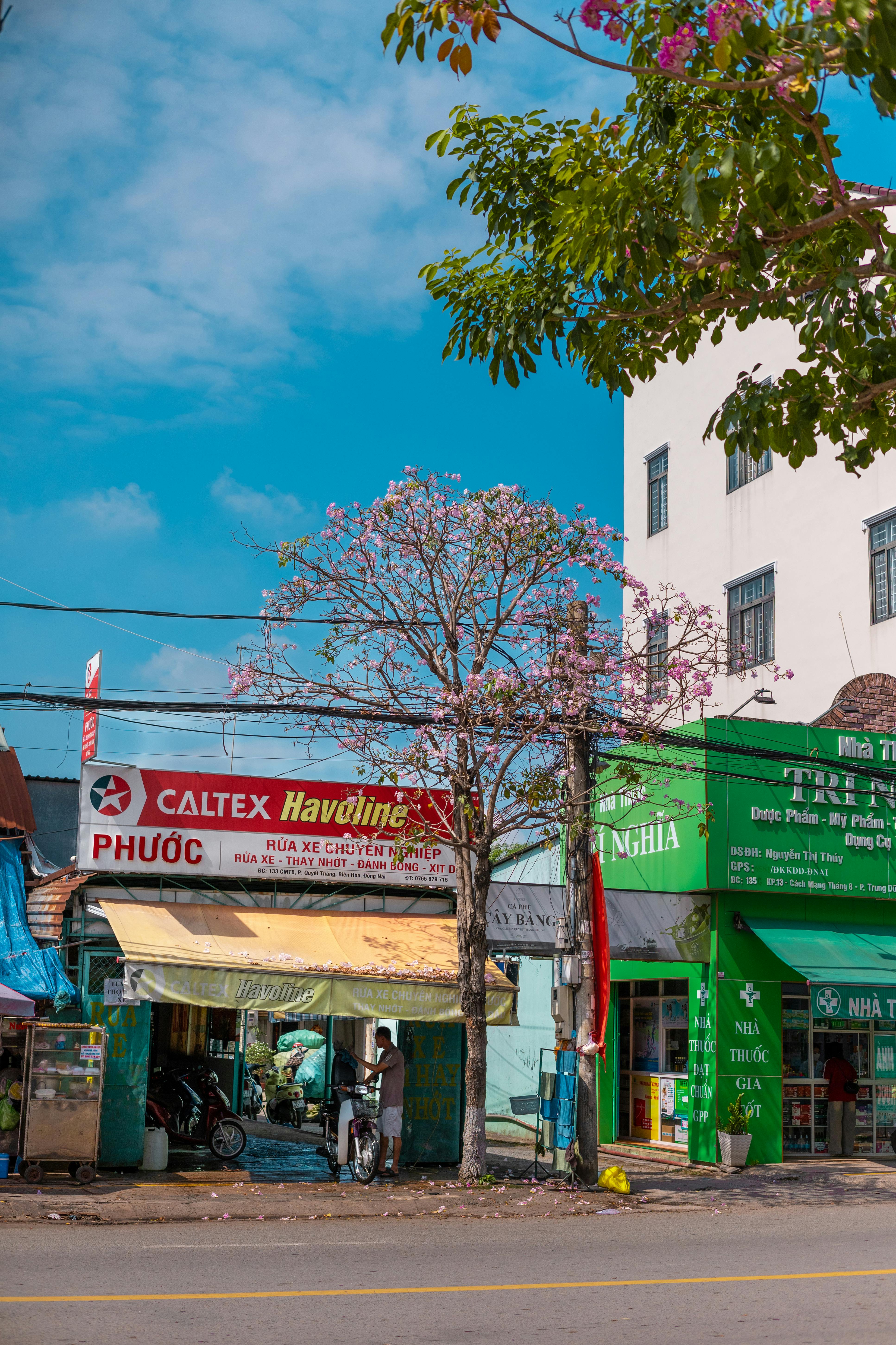 無料 澄み切った青空の下、お店や花の咲いた木々が並ぶ、活気に満ちた昼間の街並み。 写真素材