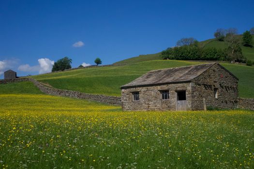 Charming stone barn surrounded by vibrant meadows in Muker, Yorkshire Dales, England.