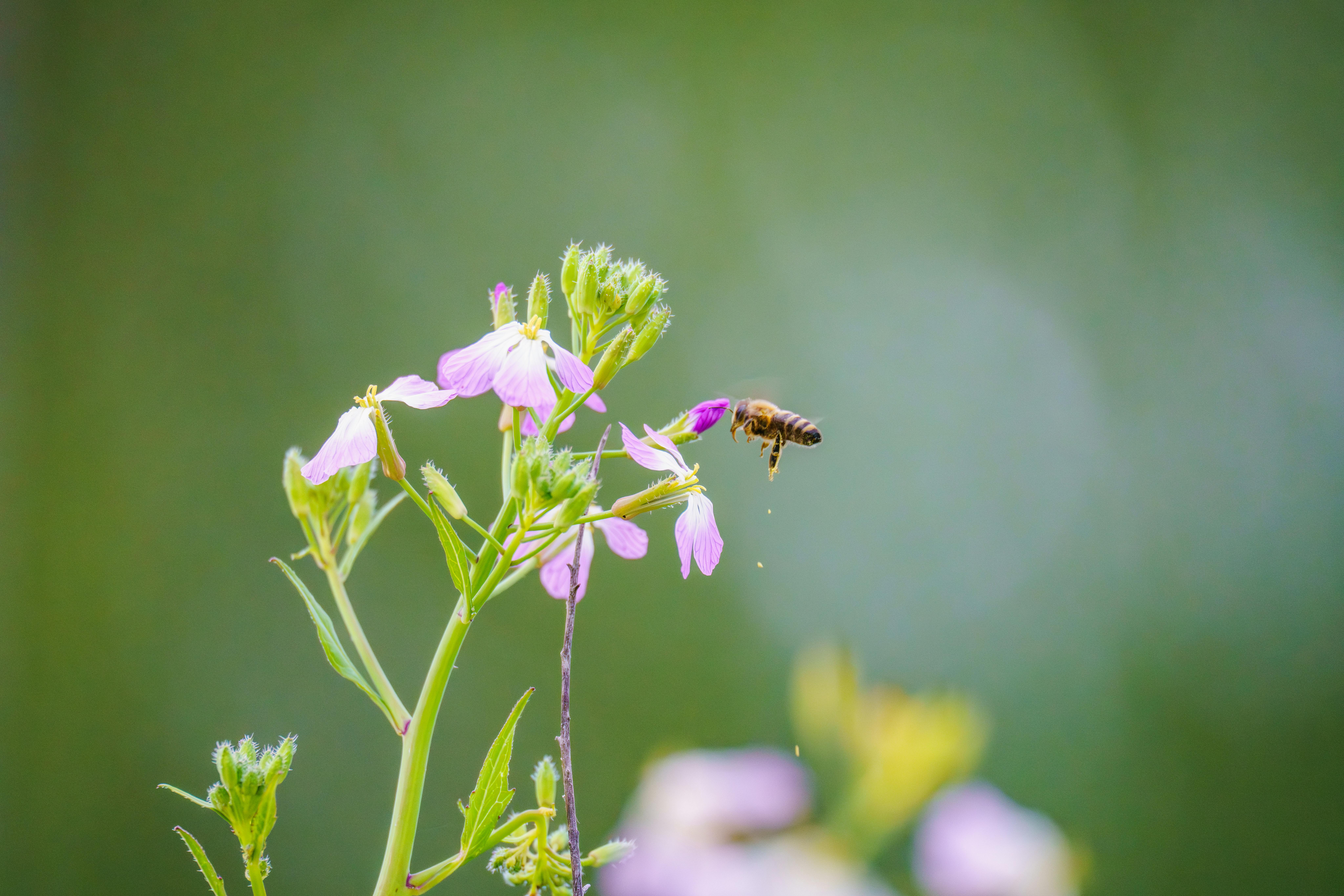Ark Valley Civics Bee Competition to Send Three Local Students to State — Photo by Robert So on Pexels