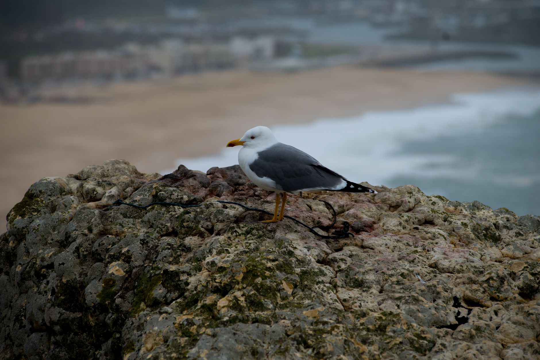 Nazaré