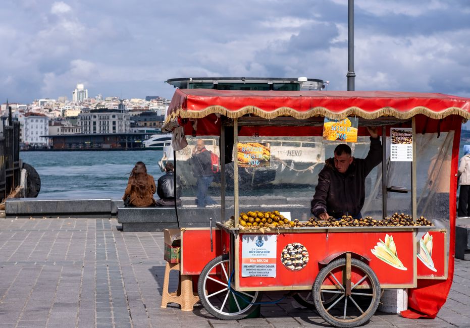 starting a mobile food business