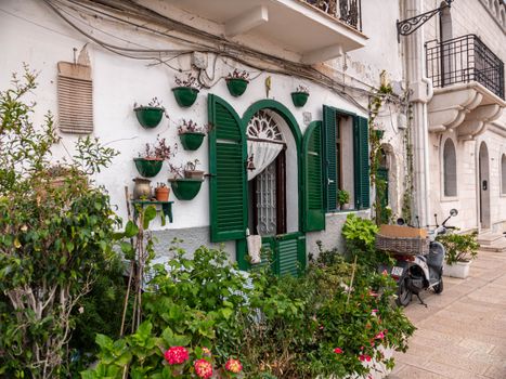 Classic Bari architecture with green shutters and lush plants, showcasing Apulian charm.