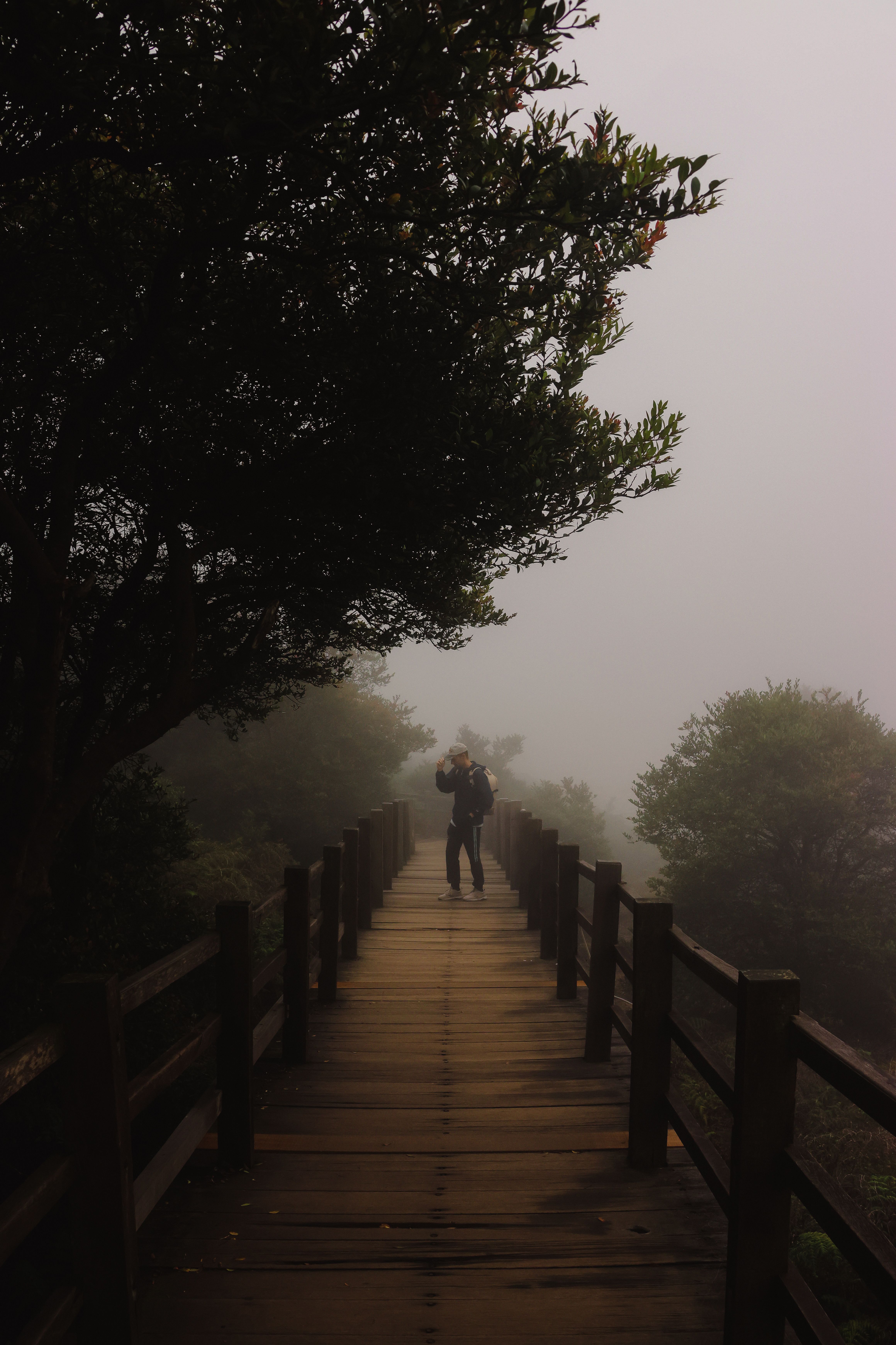 A couple walks on a foggy forest wooden footbridge creating a serene atmosphere.