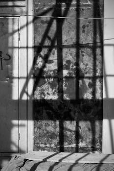 Intriguing shadow play in black and white on a textured door.