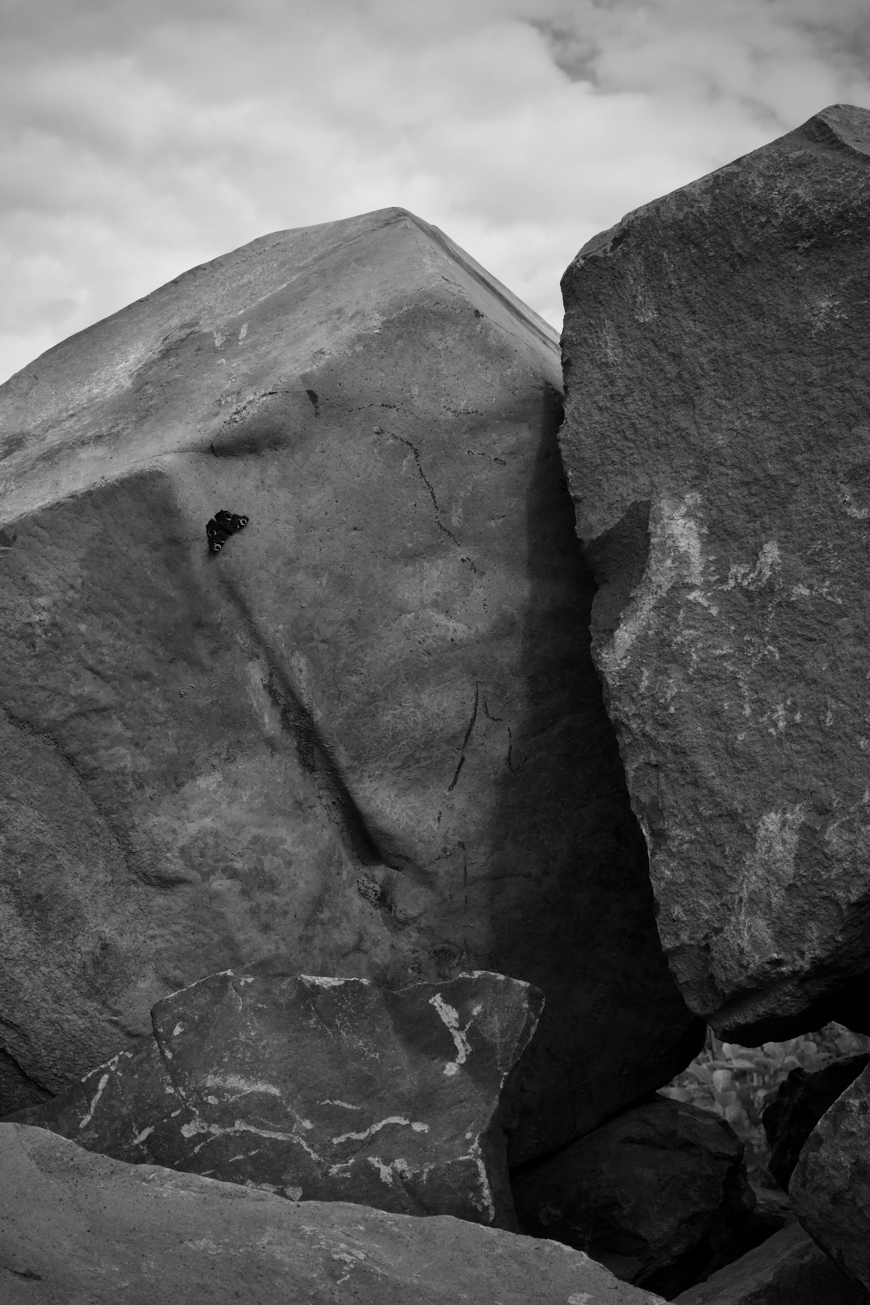 Ücretsiz Büyük kayaların ve bir kelebeğin yer aldığı çarpıcı siyah beyaz fotoğraf. Stok Fotoğraflar