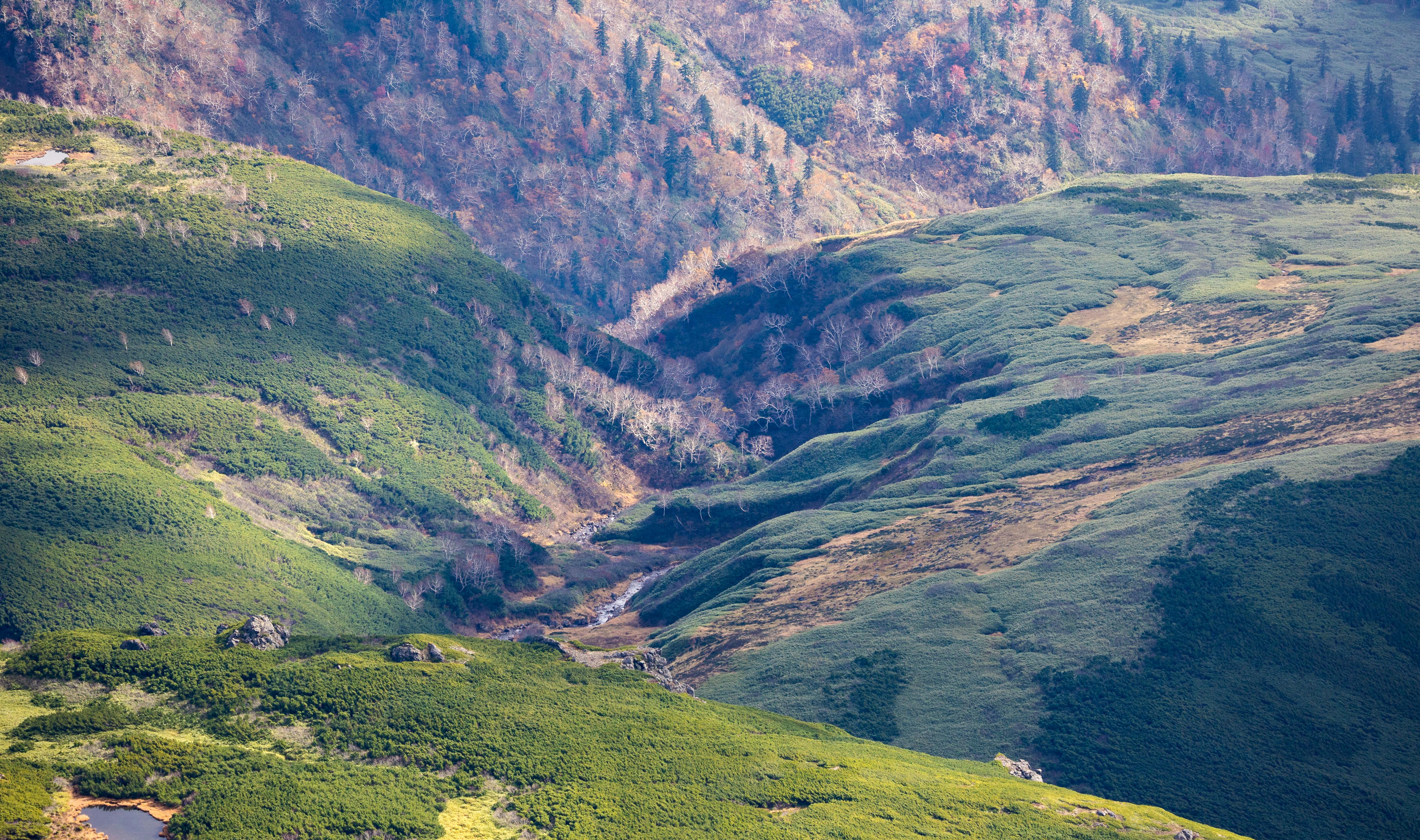 Explore the vibrant autumn hues and rolling hills of Asahi-Dake, Hokkaido's natural marvel.