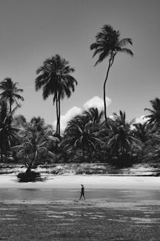 A person walks on a beach with tall palm trees in a moody black and white scene.