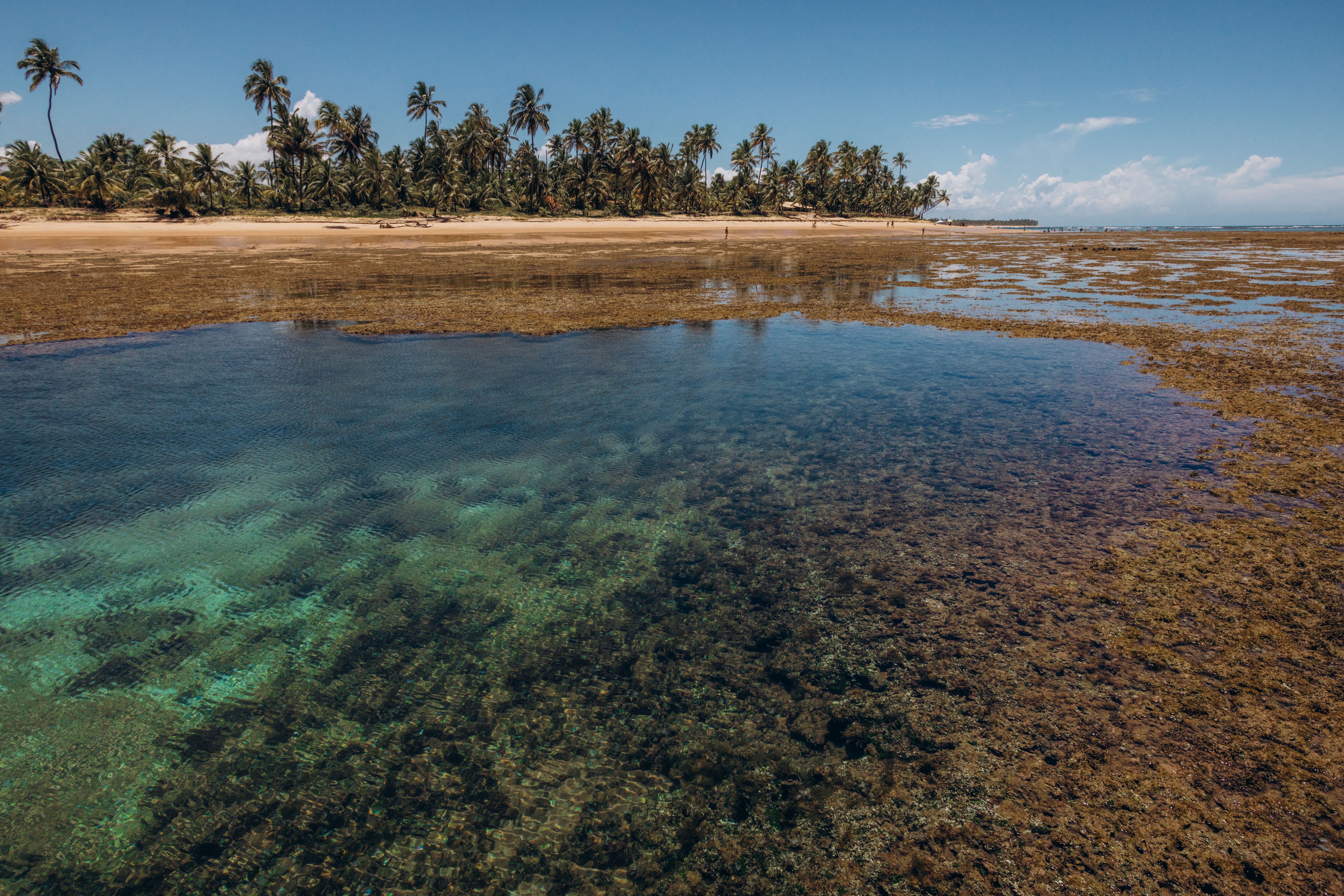 Pointe Etuéboué Lagoon Beach view 2