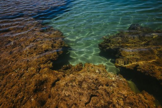 Crystal clear water with vibrant marine life over rocky formations at Barra Grande Beach, Bahia.