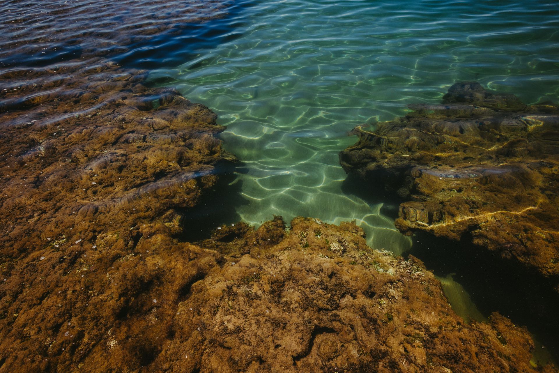 Underwater at Snapper Alley