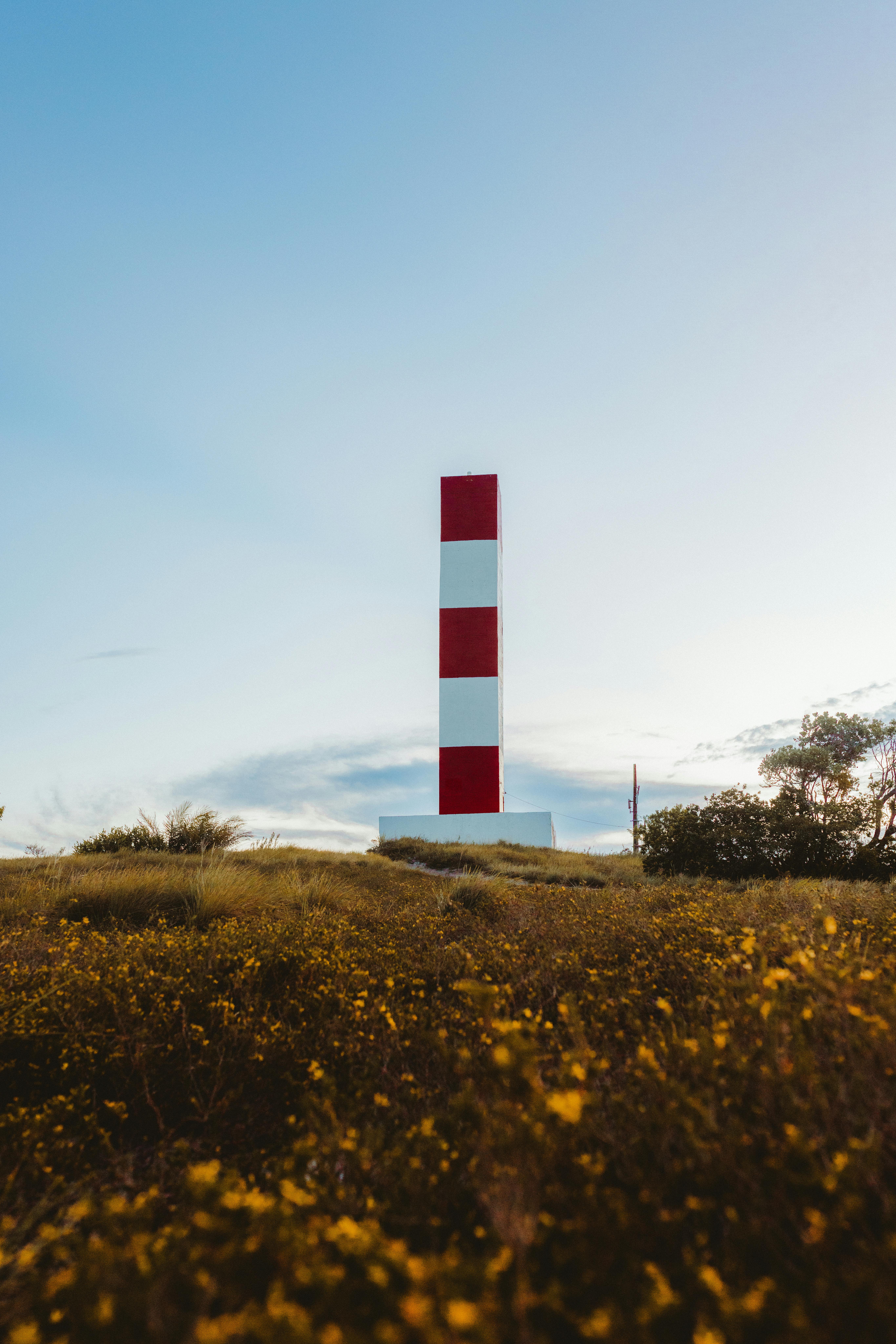 Gratis Un vivace faro rosso e bianco che si erge nel paesaggio naturale di Bahia, in Brasile. Foto a disposizione