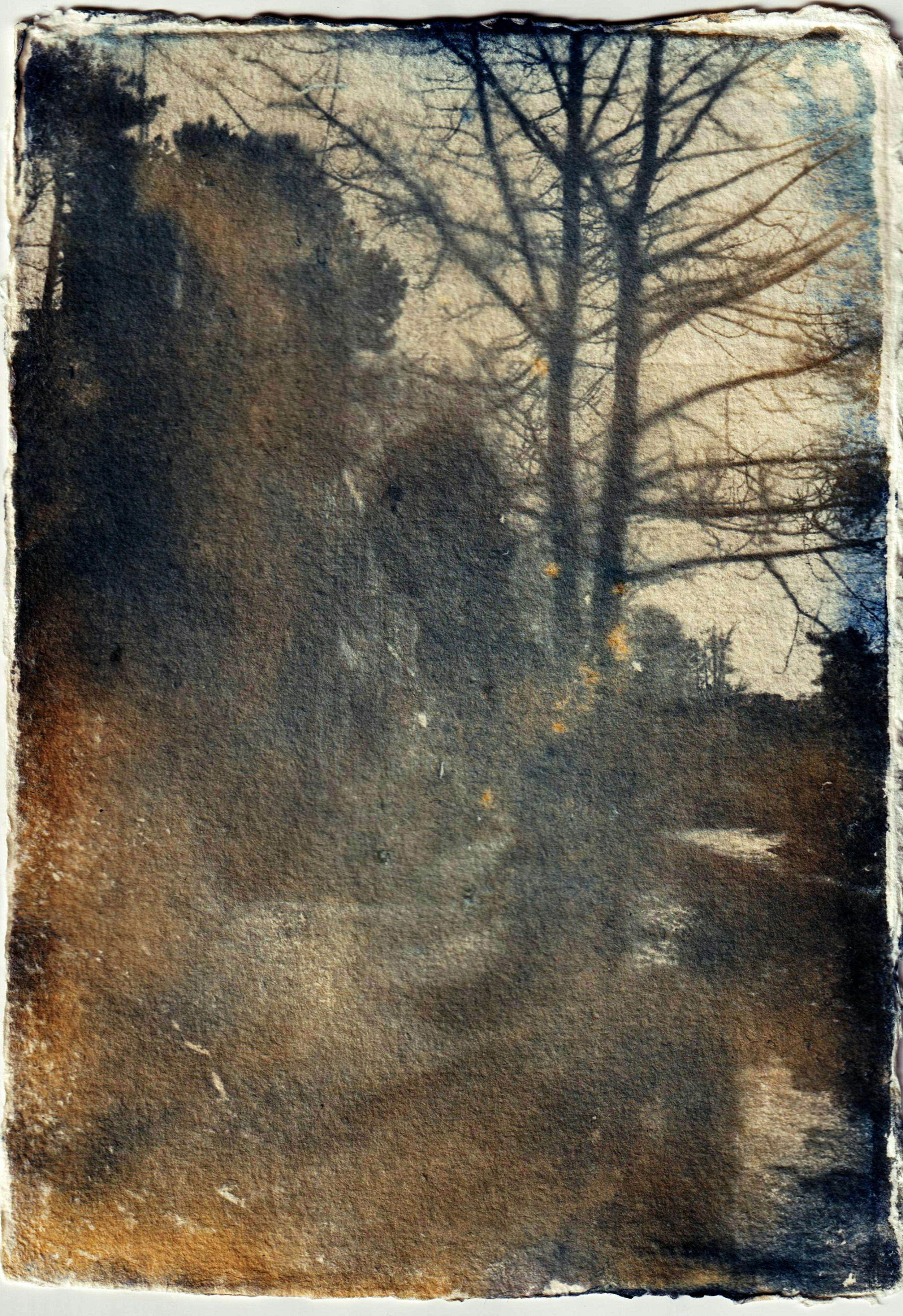 無料 木のシルエットを質感のある芸術的なスタイルで描いた、雰囲気のあるシアンタイプ プリントです。 写真素材