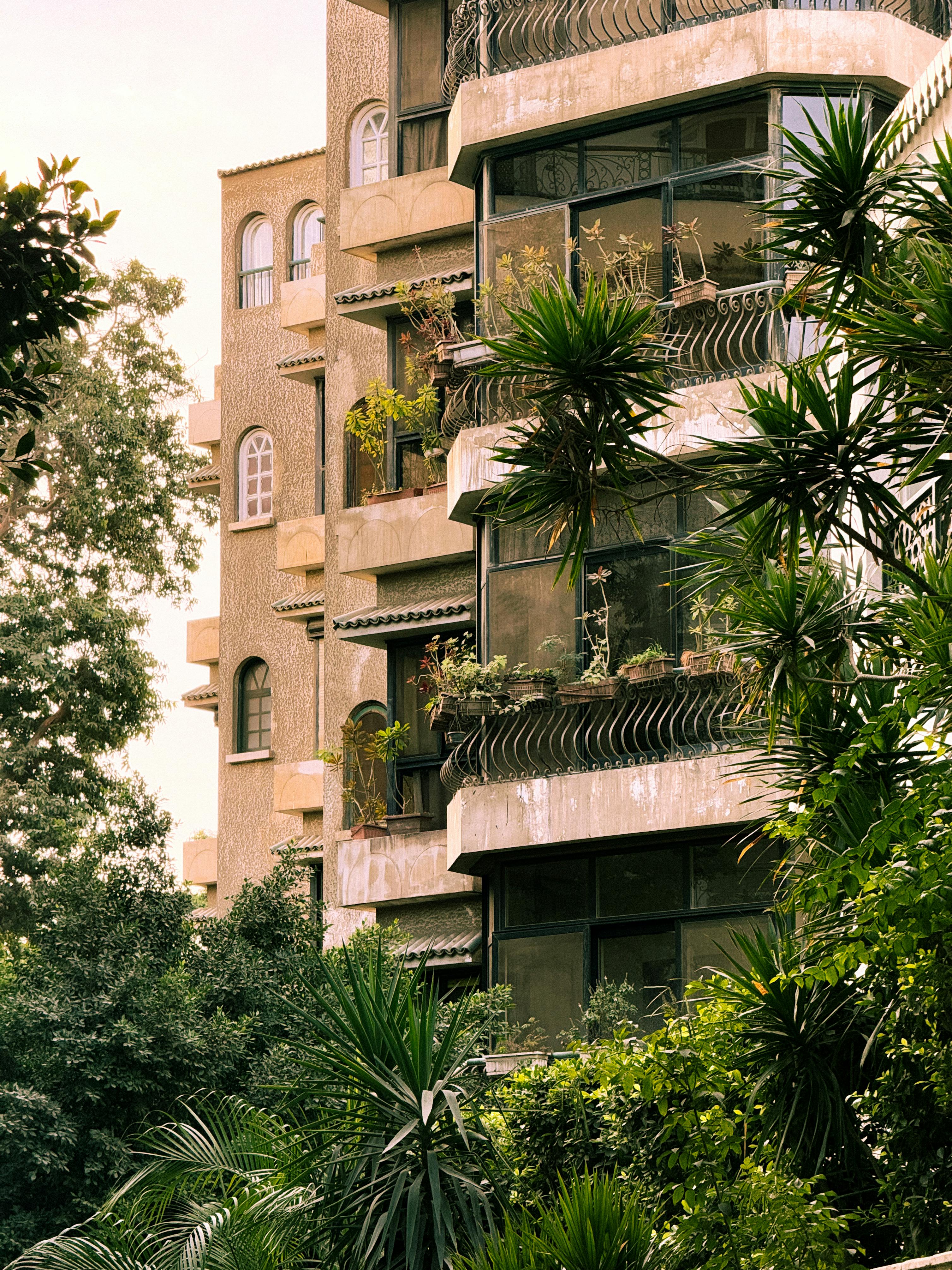 無料 アウトドア生活, アパート, クライミングプラントの無料の写真素材 写真素材