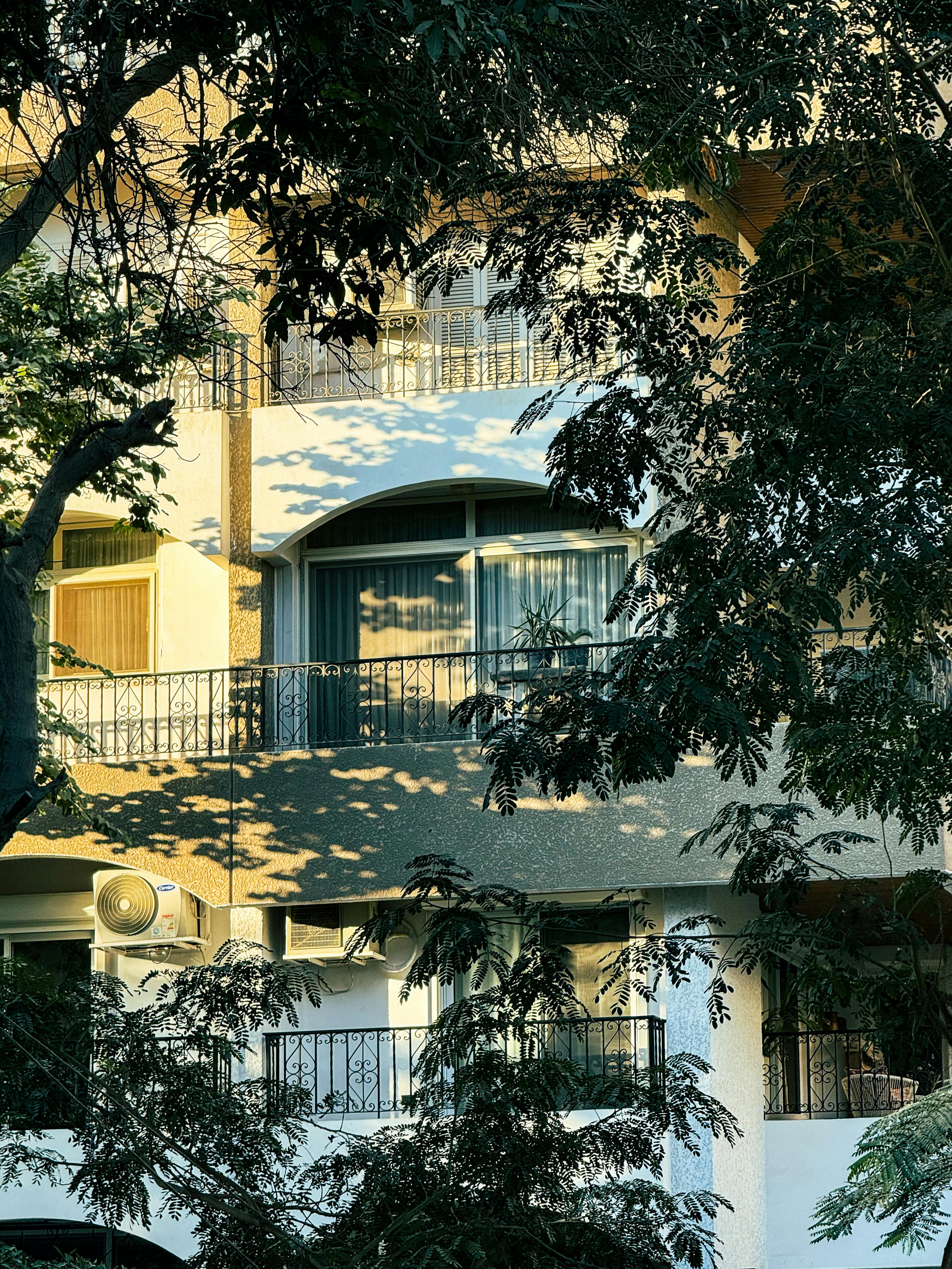 無料 緑に囲まれ、日光の下では柔らかな影が広がる、静かな都会のバルコニー。 写真素材