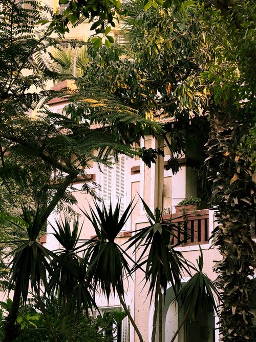 Free Charming residential building enveloped by rich green foliage, showcasing nature's tranquility in urban life. Stock Photo