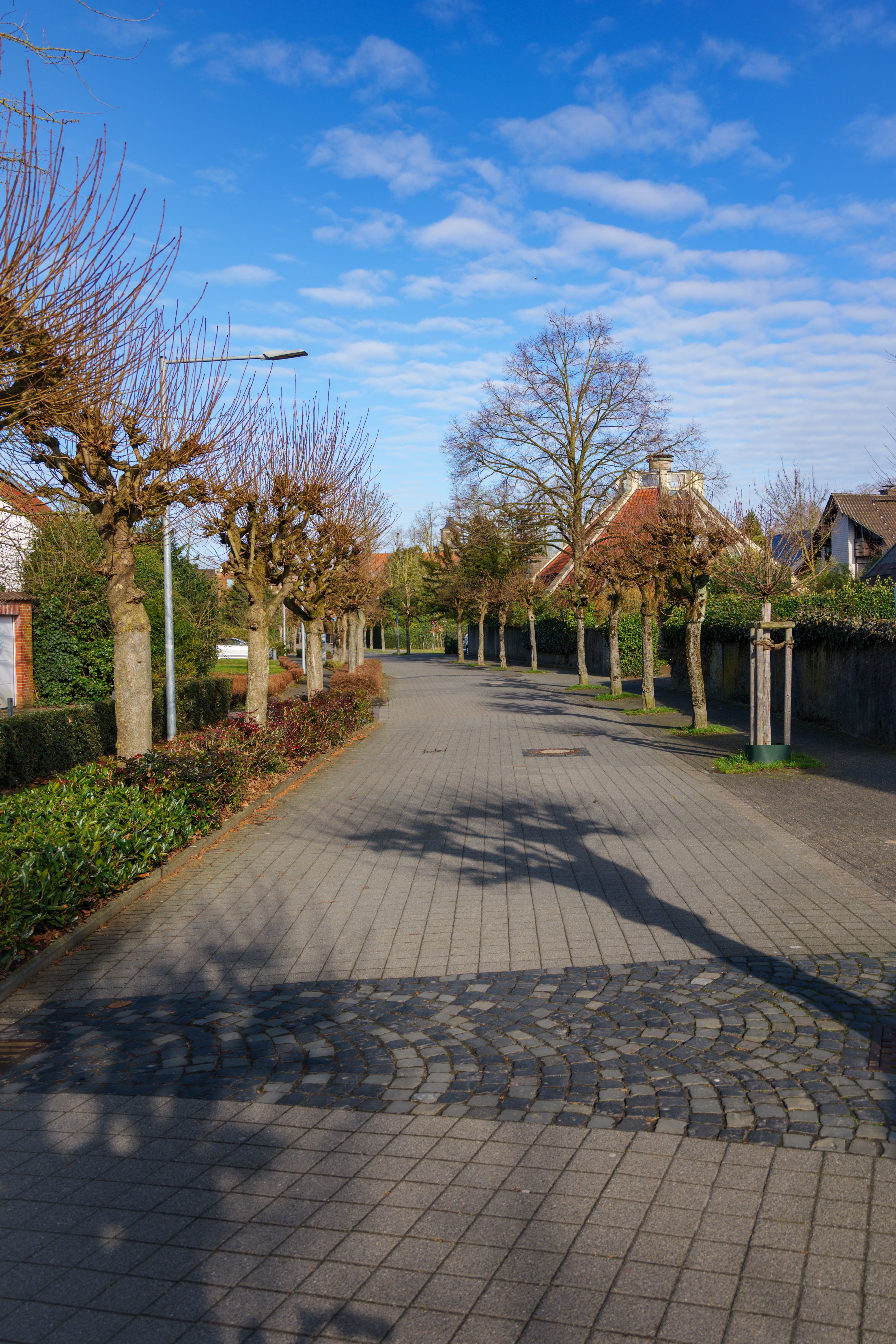 Gratuit O stradă rezidențială liniștită din Coesfeld, Germania, cu copaci tunși și cer albastru senin. Fotografie de stoc