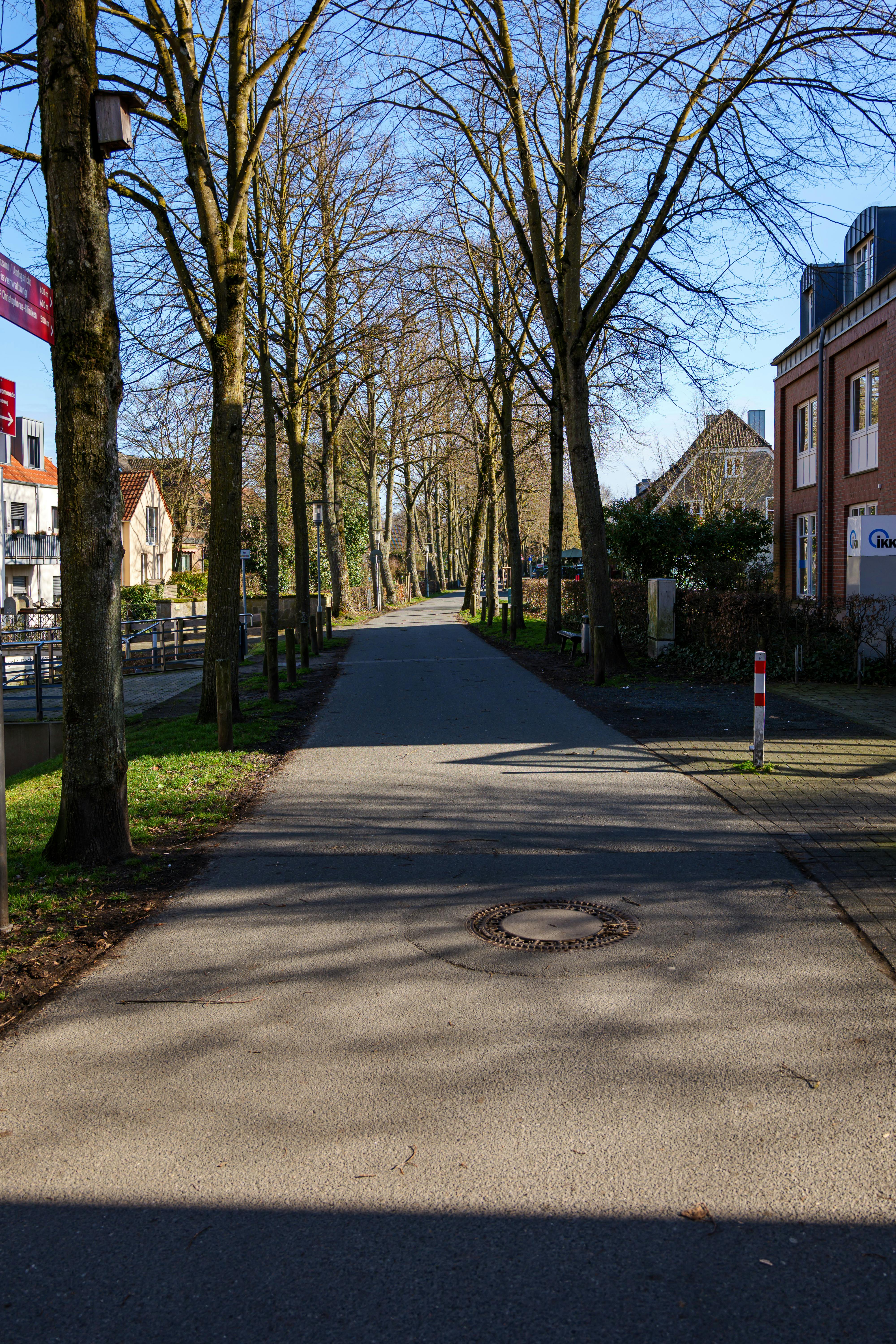бесплатная Живописная аллея, обсаженная деревьями, в Кёсфельде, Германия, в ясный солнечный день. Стоковое фото