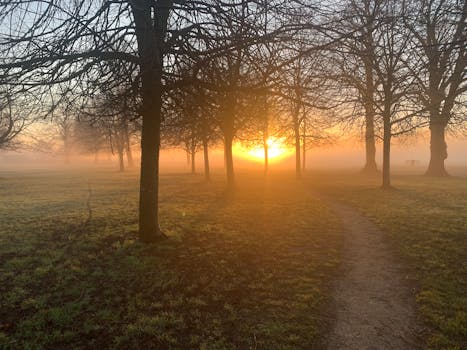 Free stock photo of beautiful sunrise