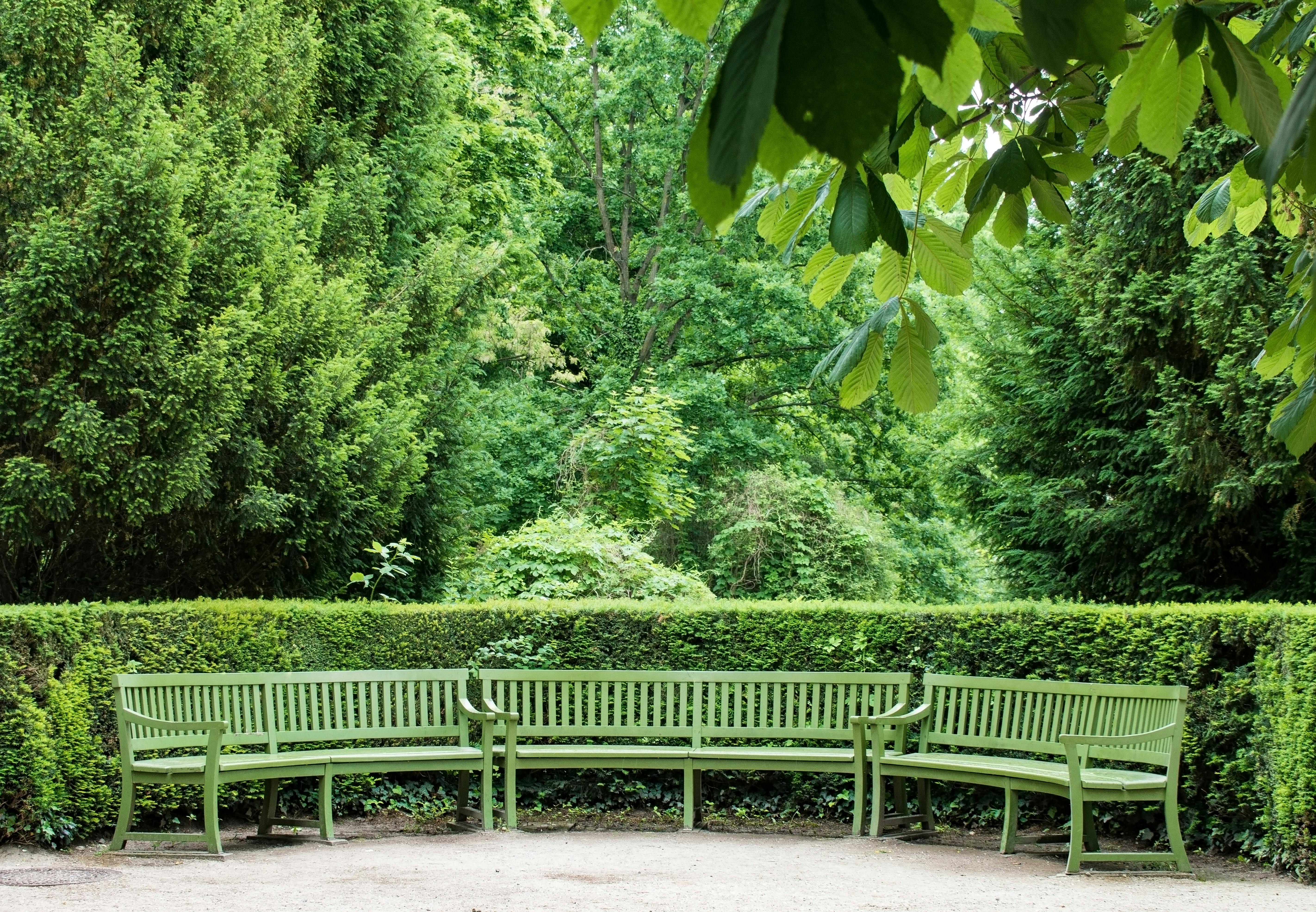 A Landscape Designer’s Favorite Gardening Tools — Photo by wal_ 172619 on Pexels
