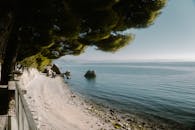 Scenic Coastal Path with Pine Trees in Italy