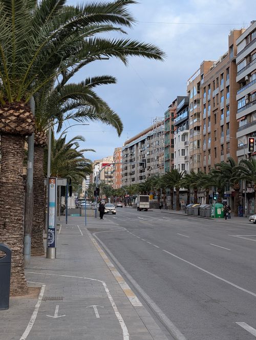 Free Bustling street lined with palm trees and modern buildings, showcasing urban architecture and city life. Stock Photo