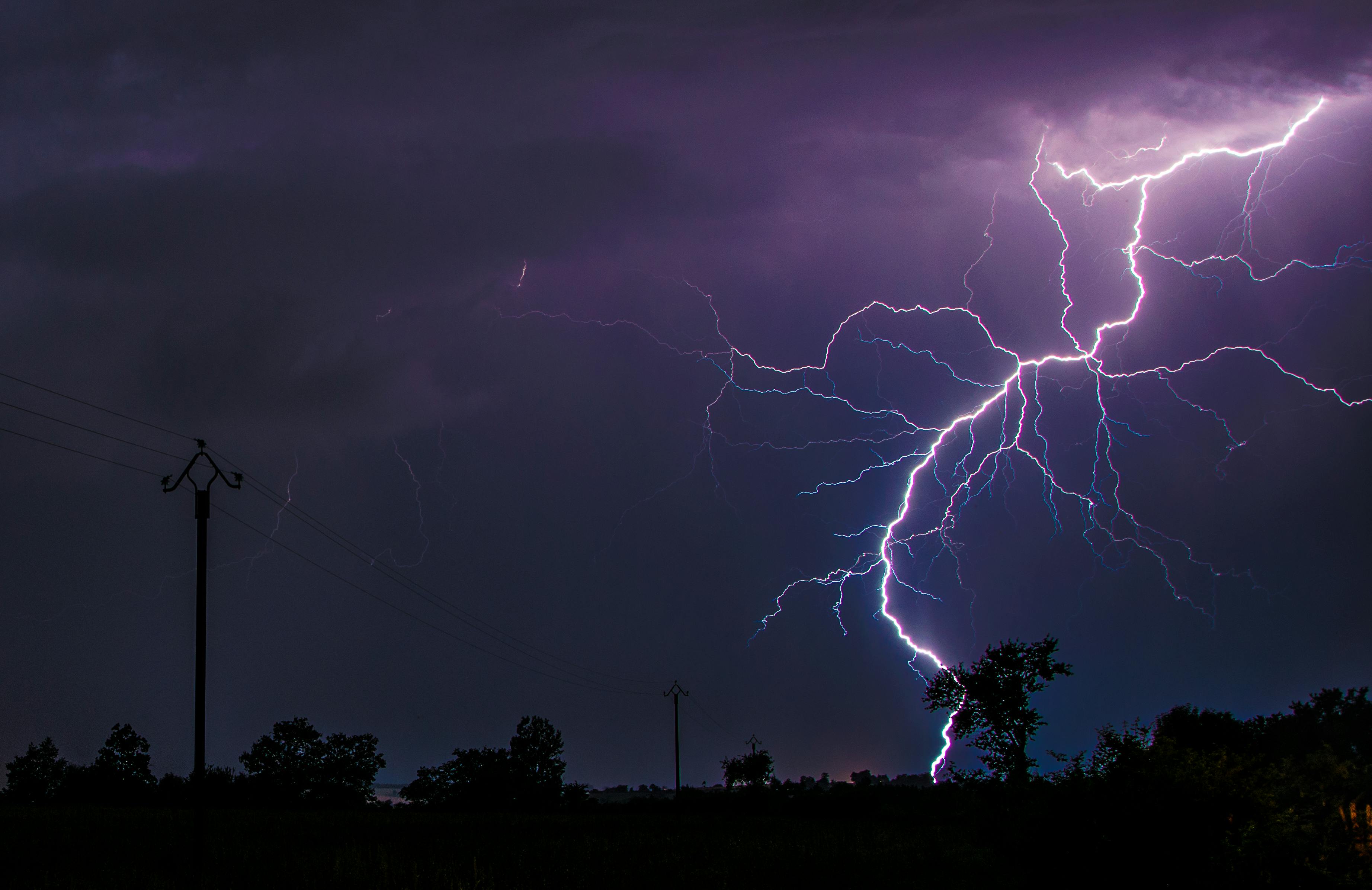 lightning unk on green grass field