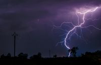 Lightning Unk on Green Grass Field