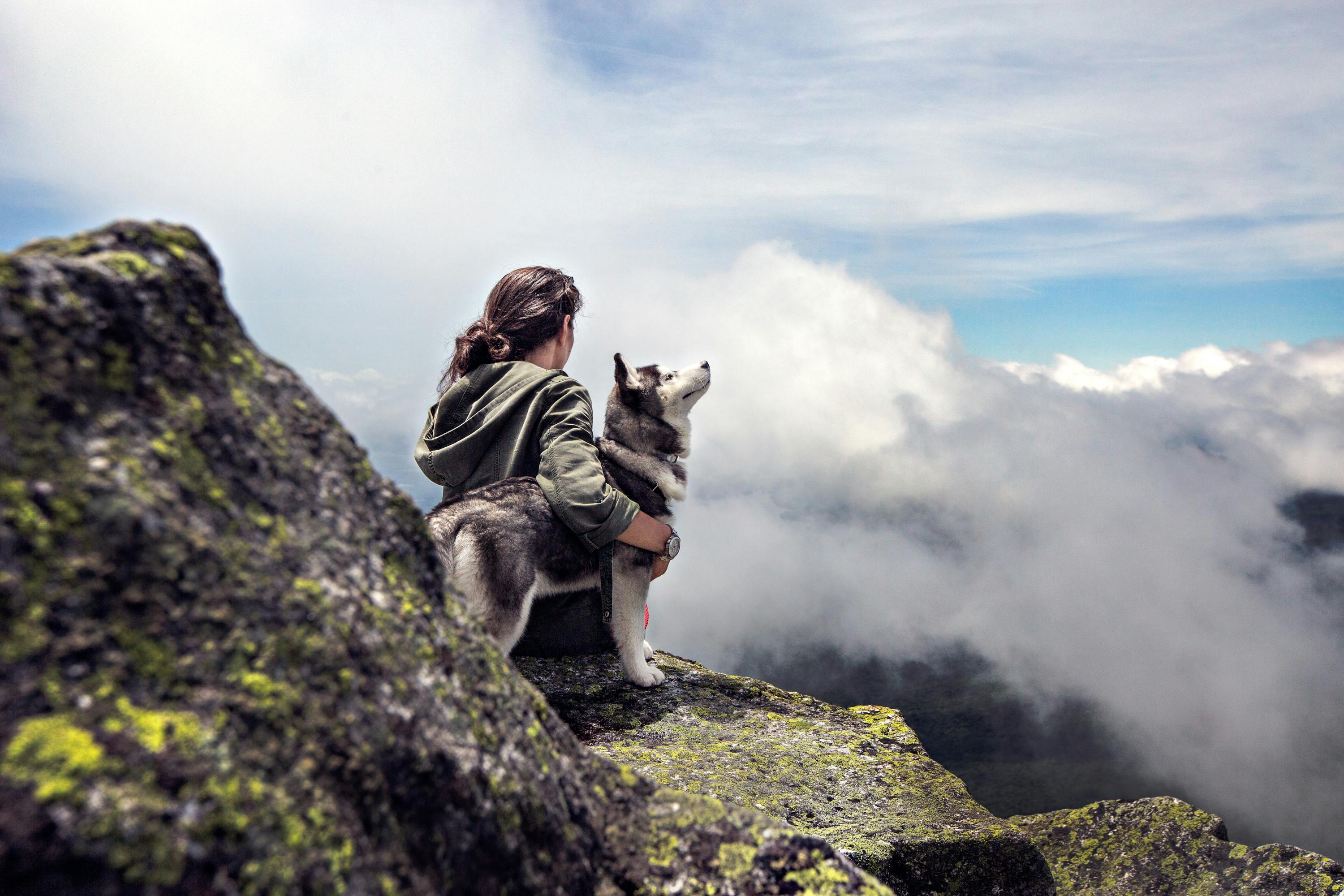 A woman beside her dog sitting on the gray rock mountain. | Photo: Pexels