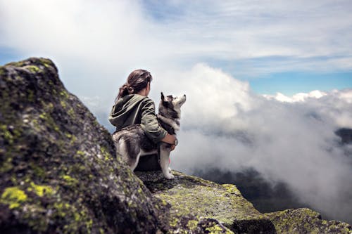 免费 西伯利亚雪橇犬旁边的女人坐在灰色的岩石山丘上，一边看鸟瞰图 素材图片
