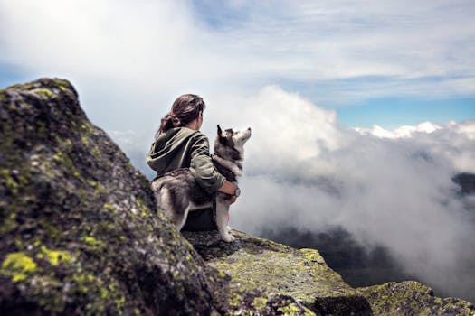 Woman with a husky on a mountain peak overlooking a cloud-filled valley.