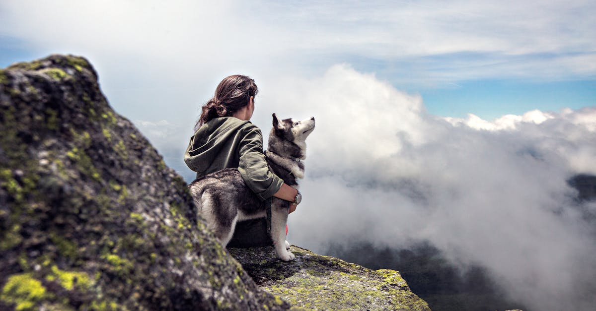 Free stock photo of adventure, clouds, dog