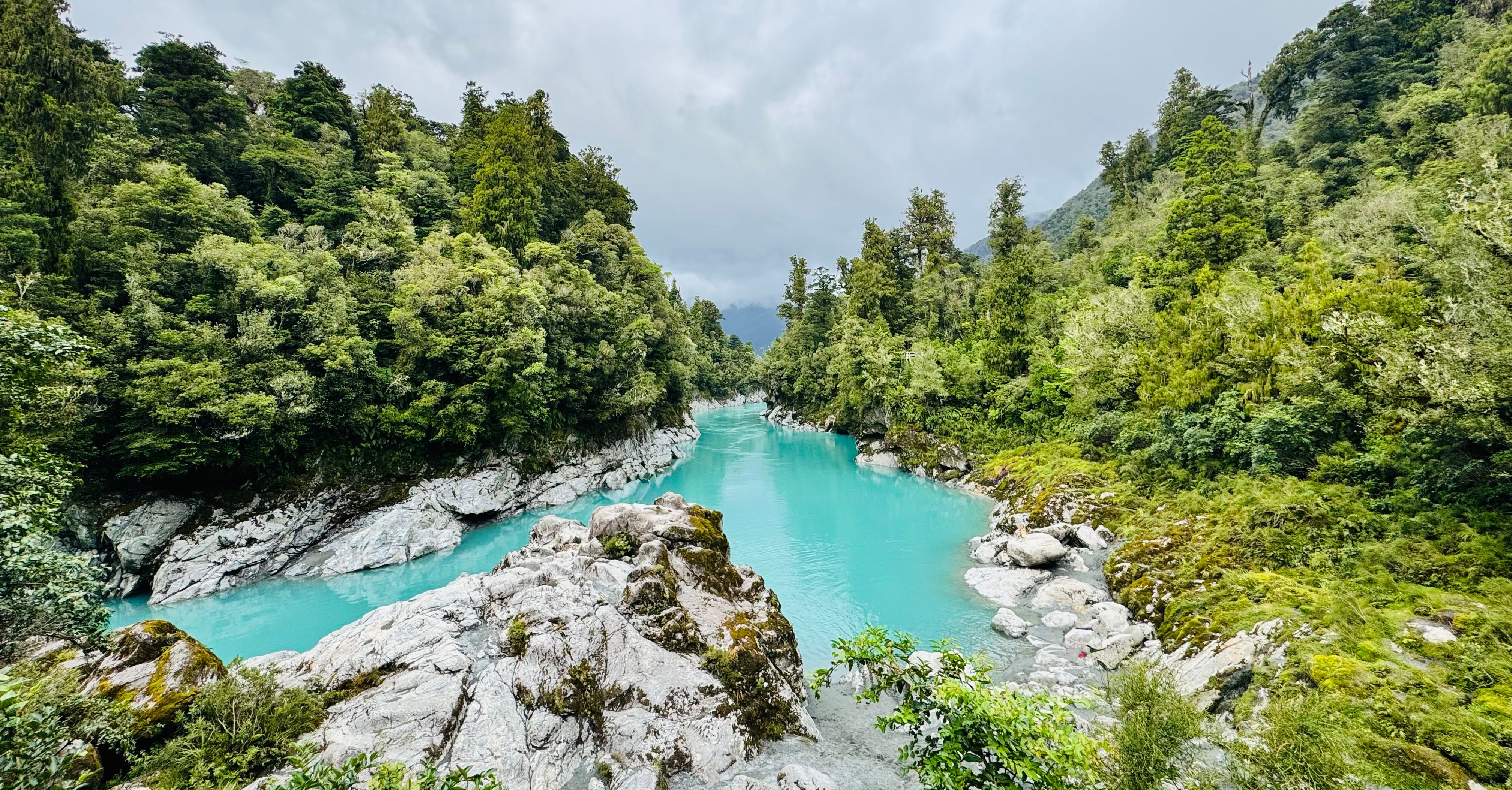 General Travel New Zealand hosts Indian travel agents on experiential famil — Photo by Kenny Lo on Pexels