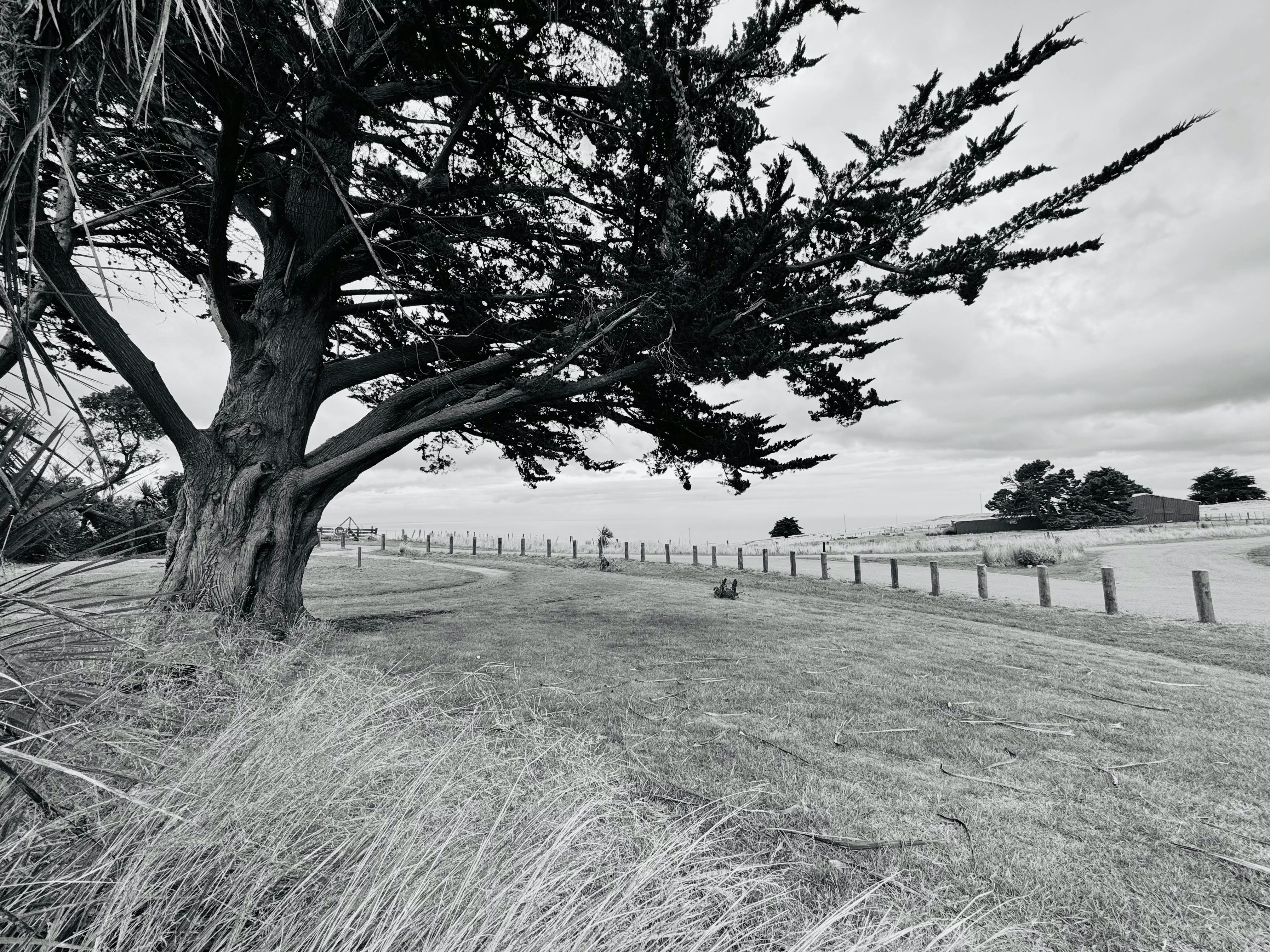 Gratis Foto stok gratis adegan di luar ruangan, alam, badai Foto Stok