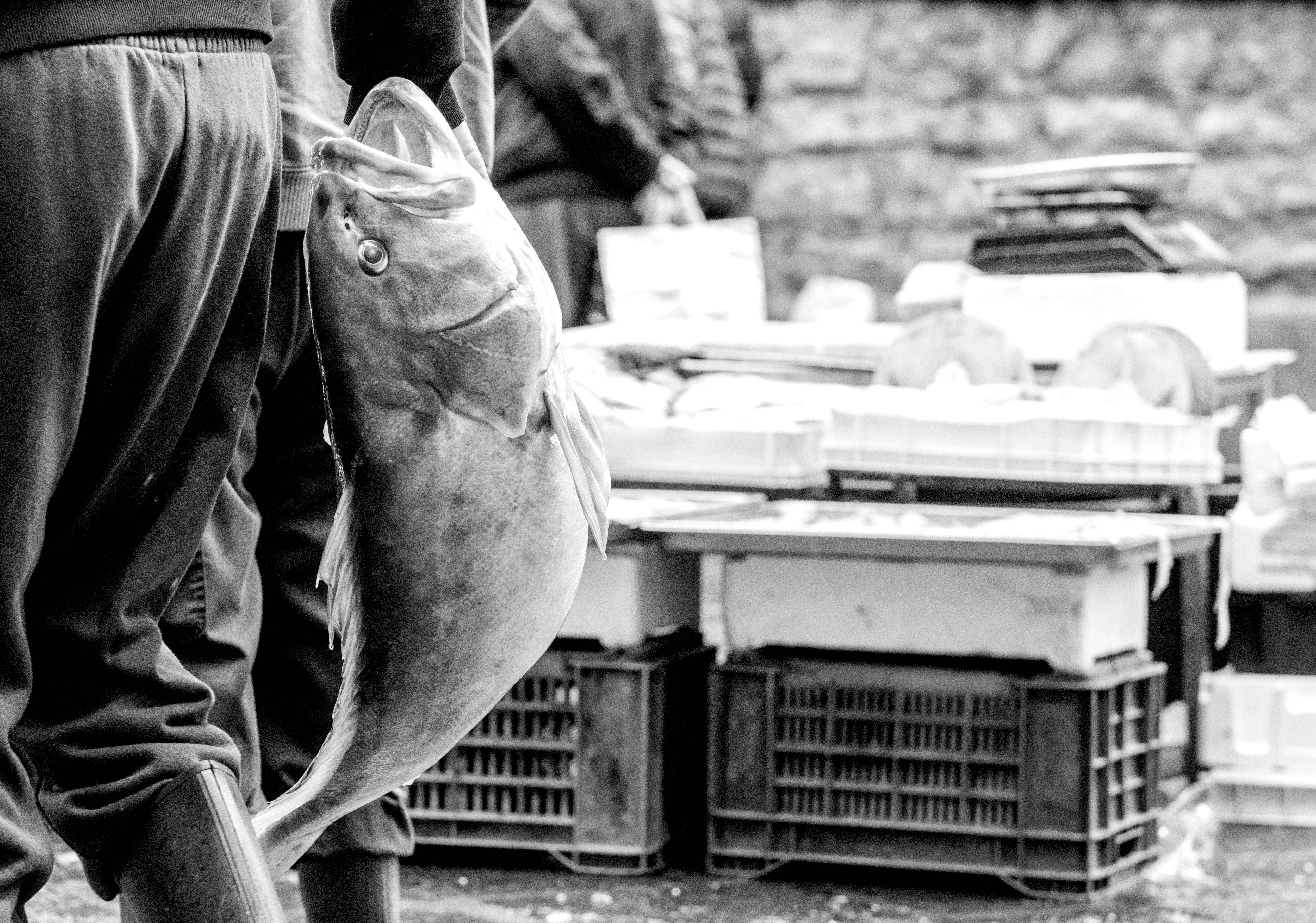 Sicily — Local Culture & Etiquette