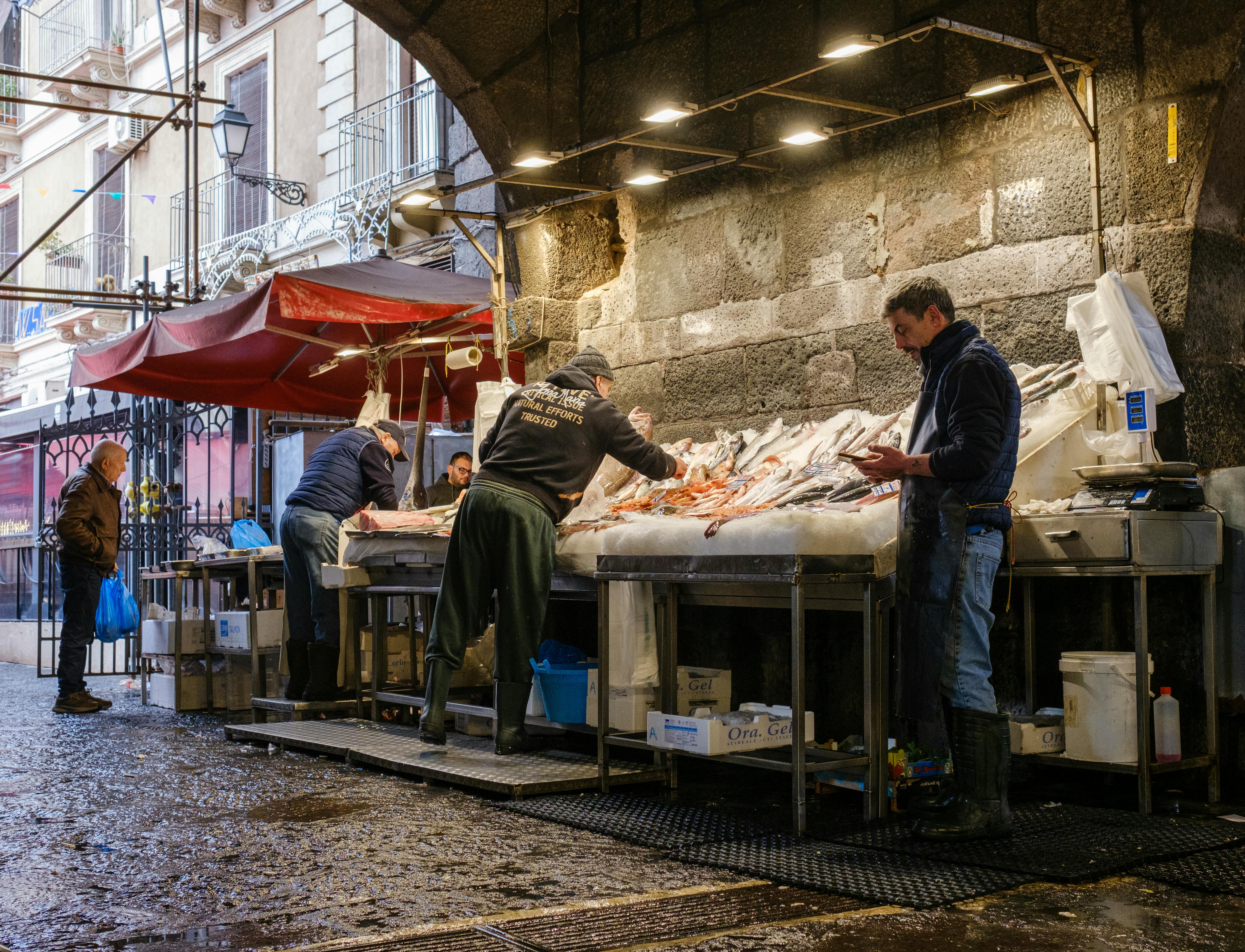 How South African Businesses can Unlock ROI from Investment into AI - SAP News Center