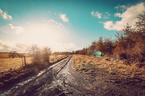 Dirt Road During Daytime