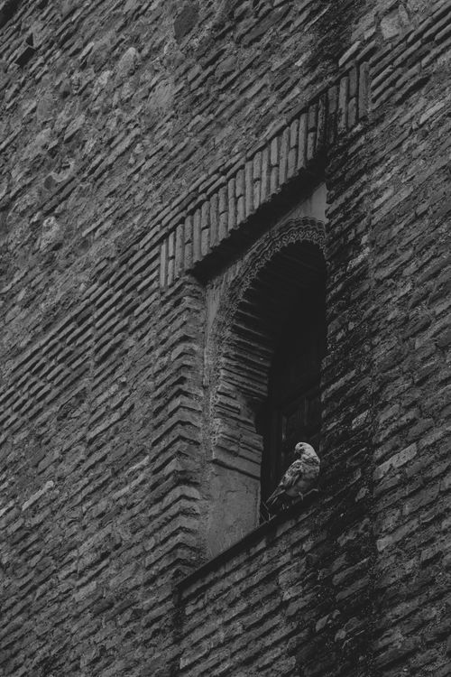 Free stock photo of arched window, architectural detail, black and white Stock Photo