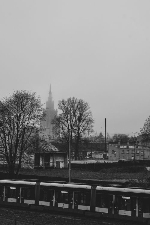 Free stock photo of bare trees, black and white, city skyline Stock Photo