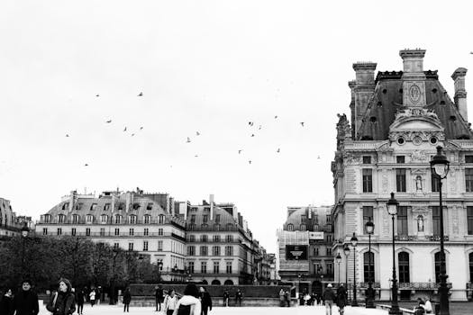 Black and white photo capturing classic Parisian architecture with people and birds.