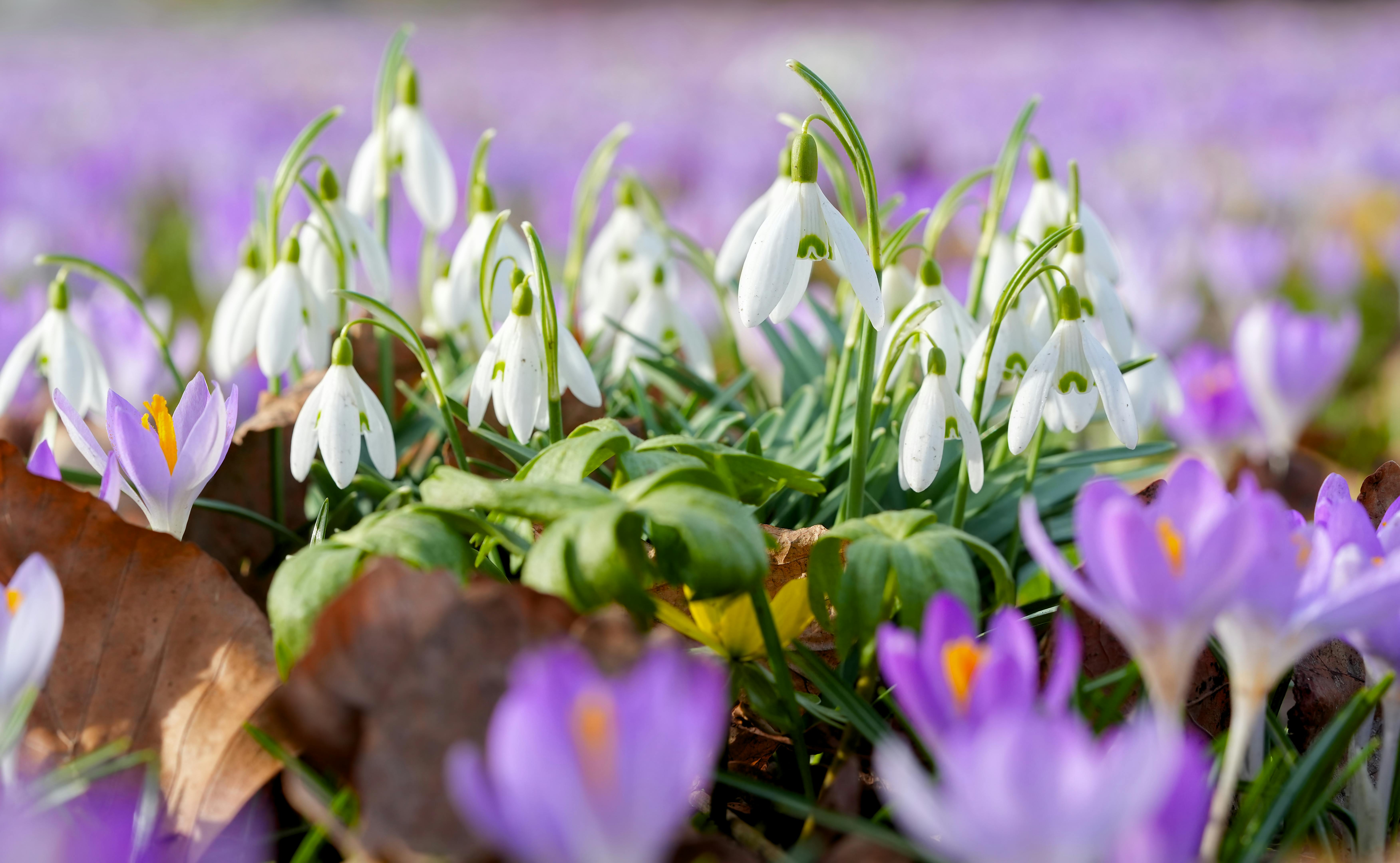 The Complete Guide to How to ab workout at home minimalist