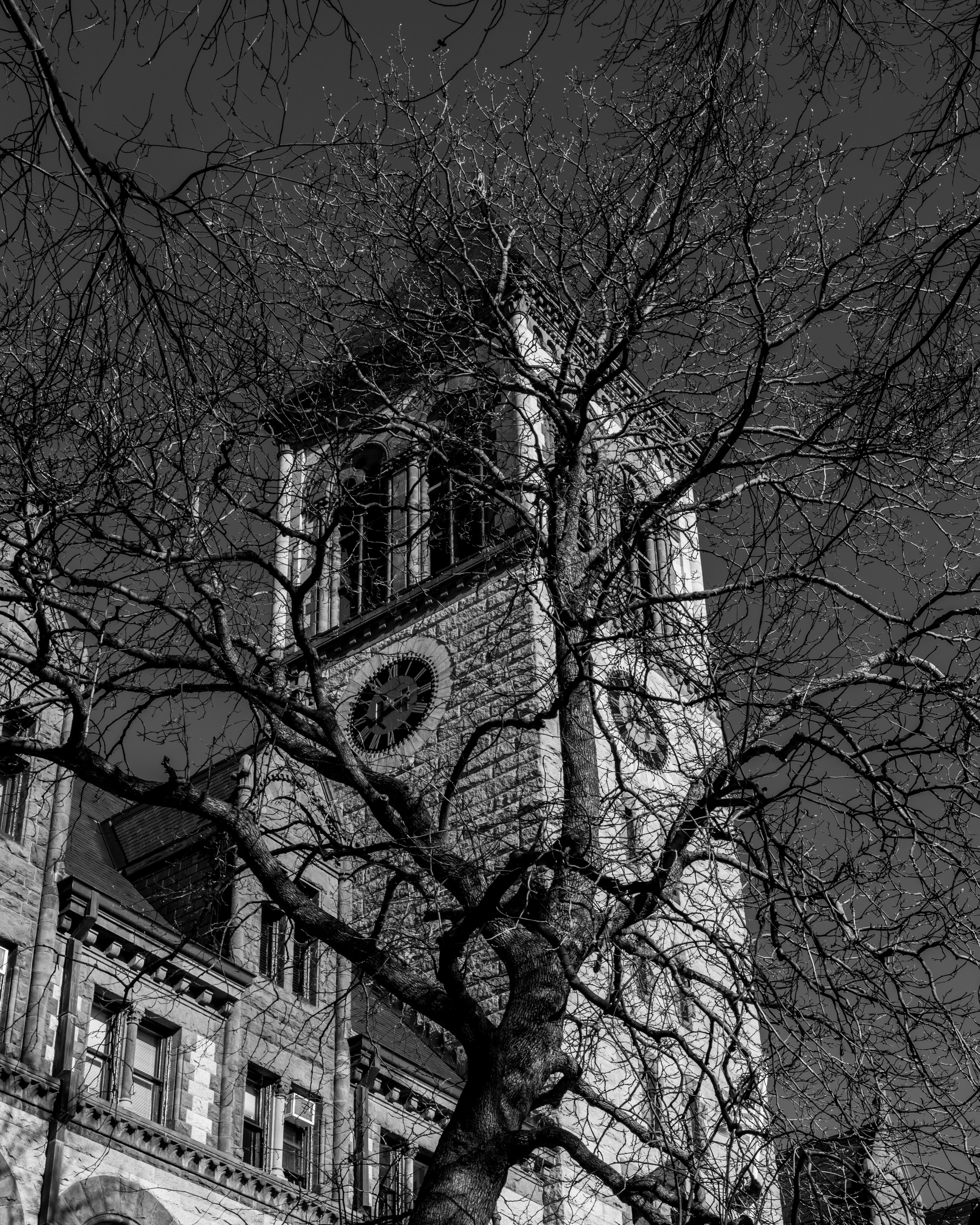 Gratis Gambar hitam putih menara jam bersejarah yang terlihat melalui ranting-ranting pohon yang gundul di musim dingin, menciptakan efek dramatis. Foto Stok